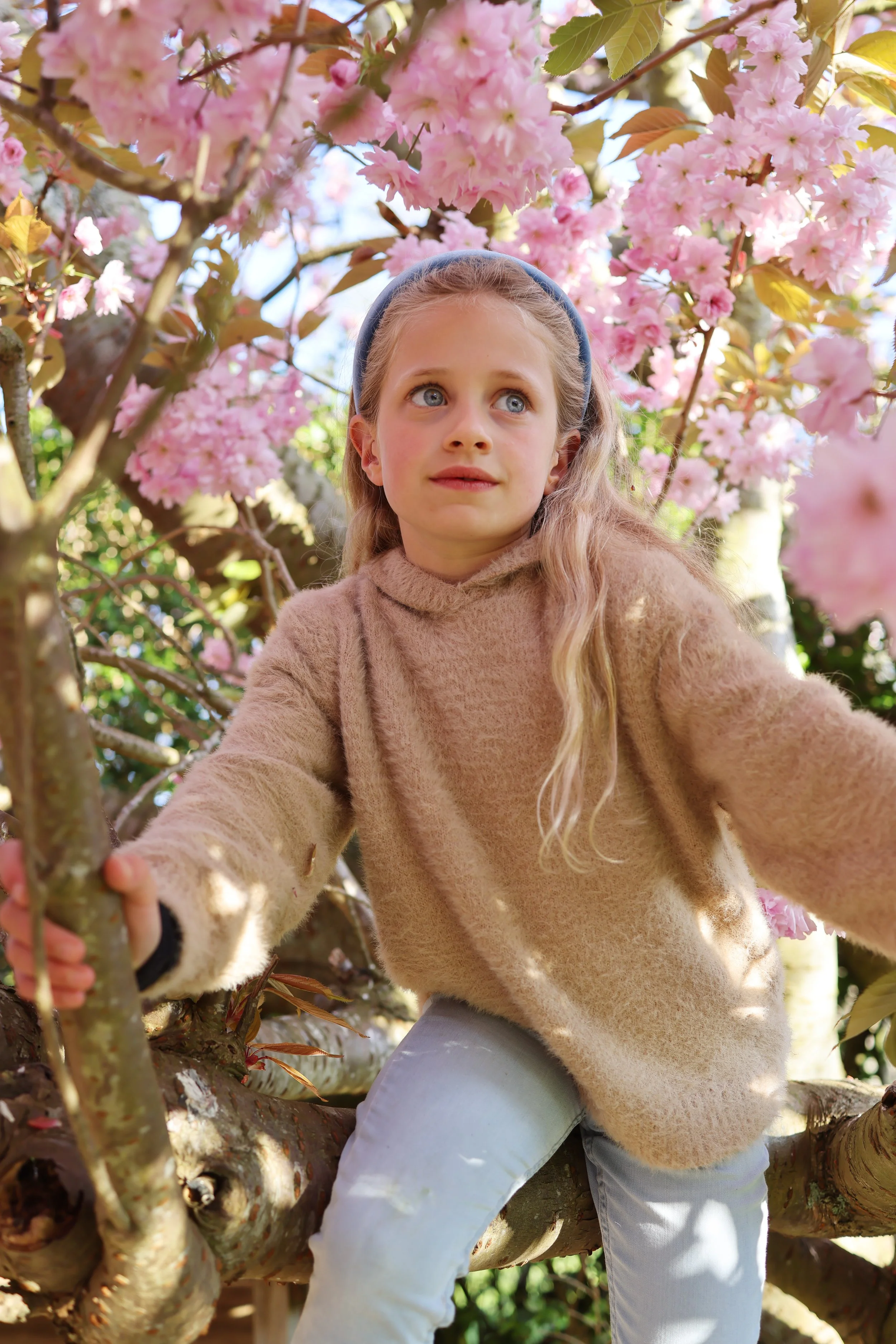 7Y4A0095 Edit JPEG.jpg