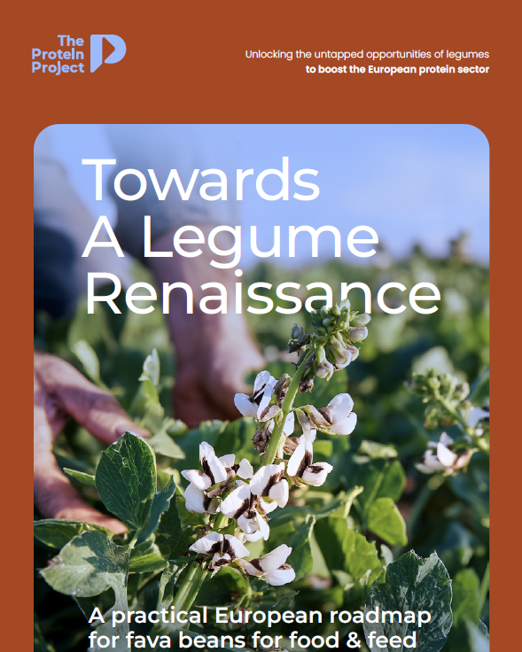 Towards a Legume Renaissance in Europe:               A Practical Roadmap for Fava Beans for Food &amp; Feed