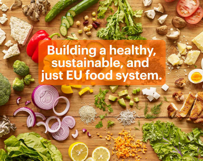 Building a healthy, sustainable, and just EU food system: a multi-stakeholder EU Policy Action Brief guided by EAT-Lancet science