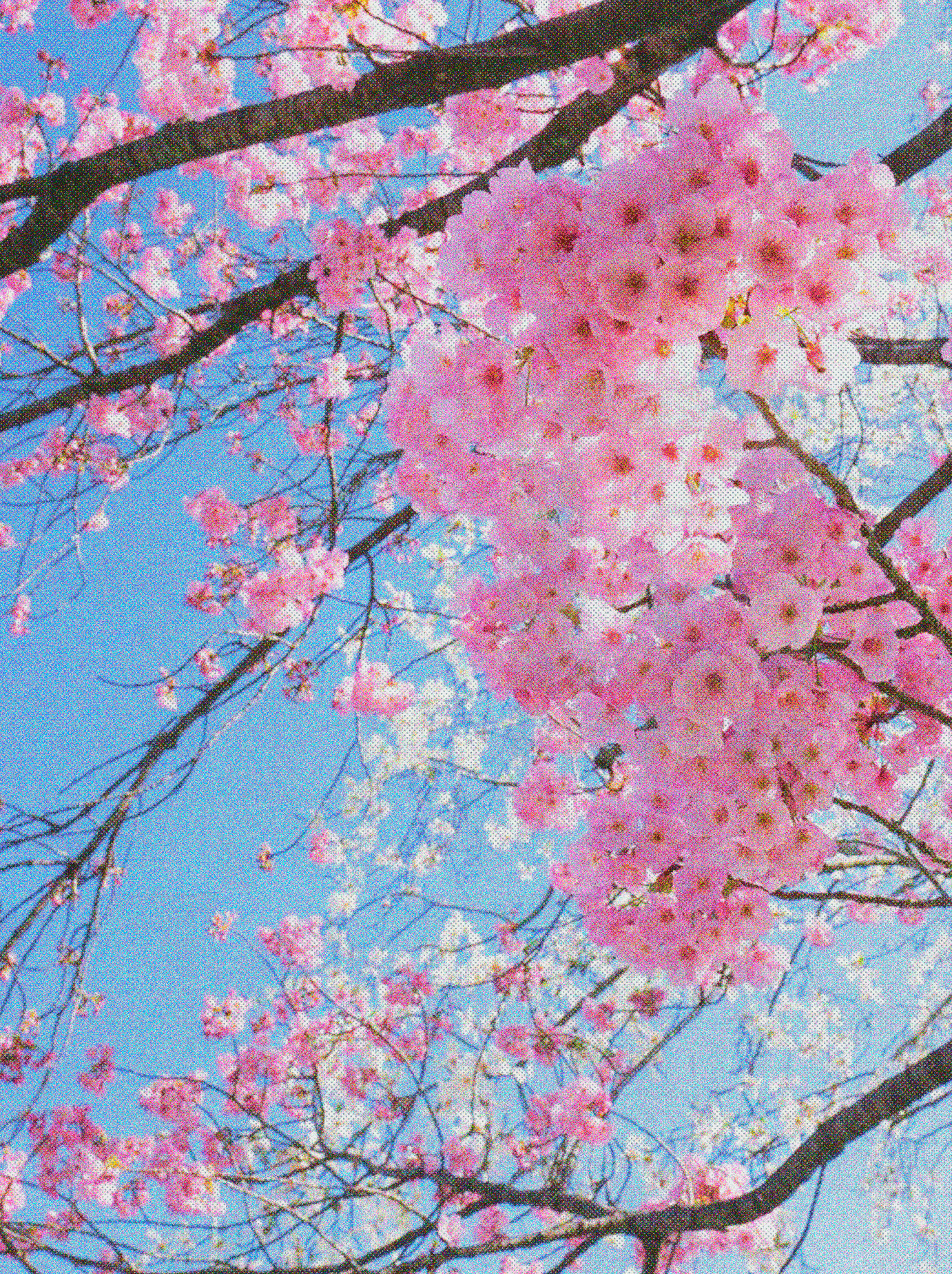 BAEUKURA_01.gif