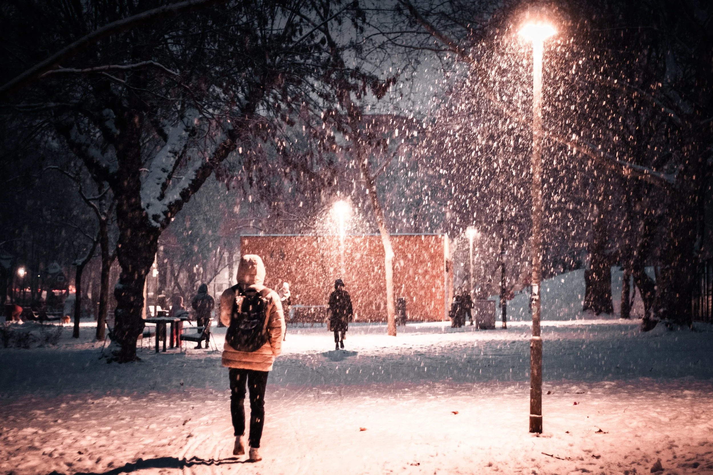 Welcome to Narnia — Budapest but Make It Quiet