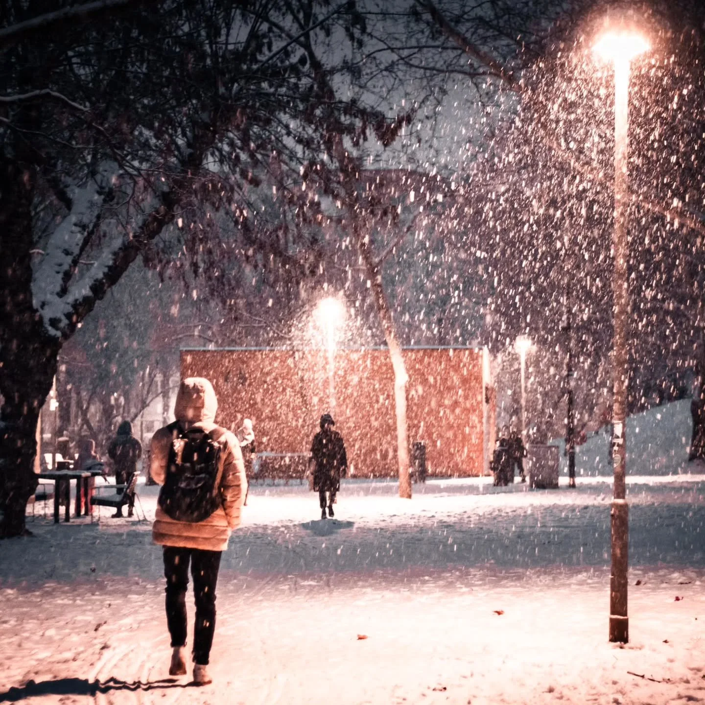 Skidding home on four wheels to the kids, errands half-done, January cold in my bones, I still couldn&rsquo;t not stop. Snow has a way of slowing down the city &mdash; and the people in it.

It&rsquo;s a bit controversial, because as beautiful as a w
