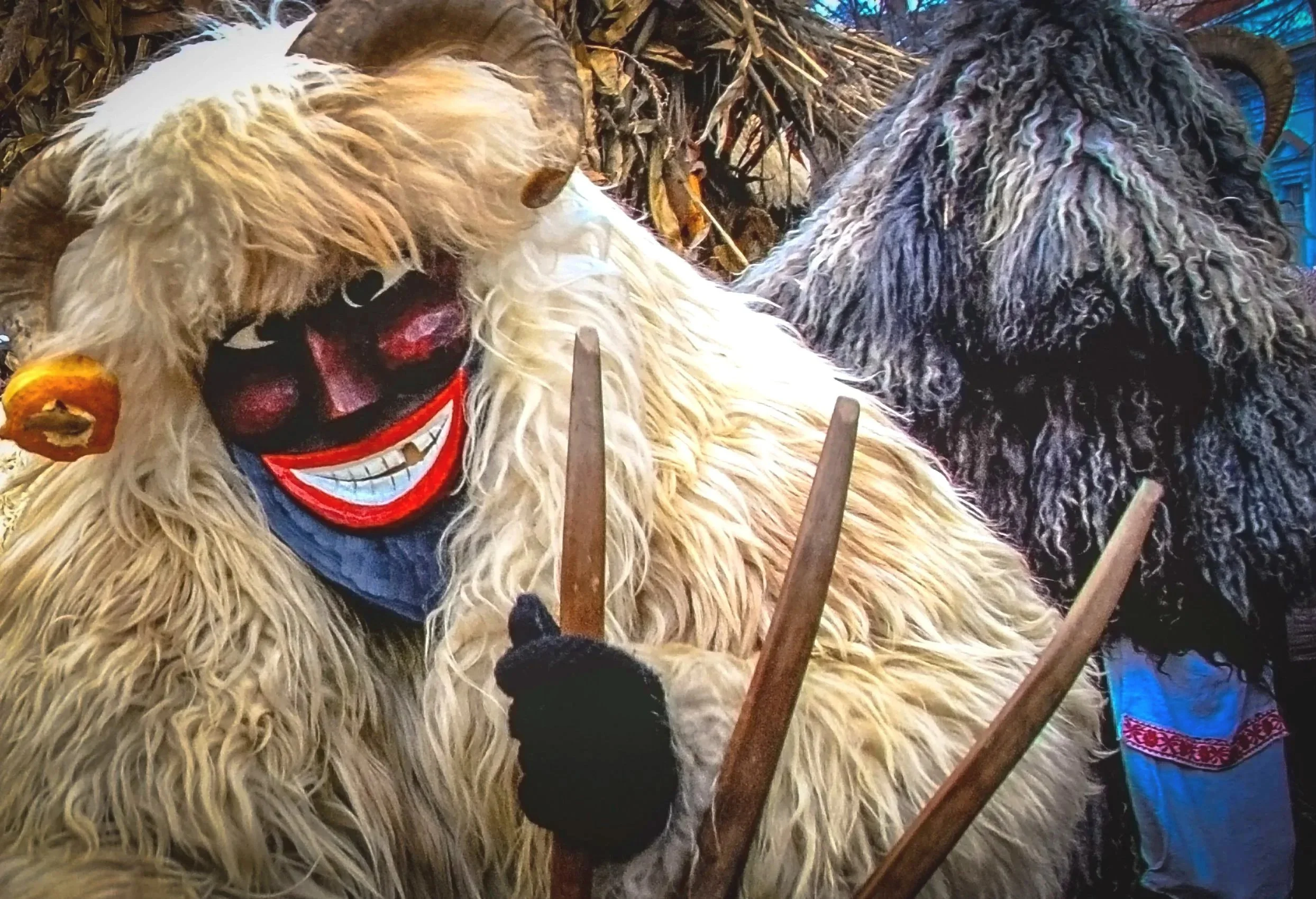 Carnival Cure for Cabin Fever: Bring on the Busós