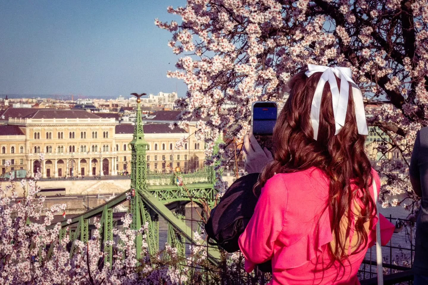 Spring. New life. Fresh hope.
Budapest in blossoms, and our hearts dressed in hope.

#hope #vote #budapest #springinbudapest #freedom artistslife creativefreedom supportthearts hungary budapestlife change democracy yourvoicecounts civicengagement new