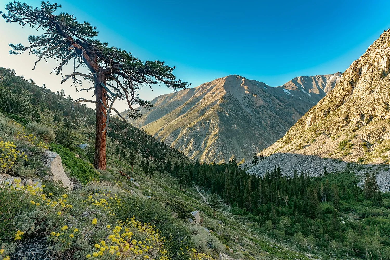 Big Pine, California: An Eastern Sierra Travel Guide