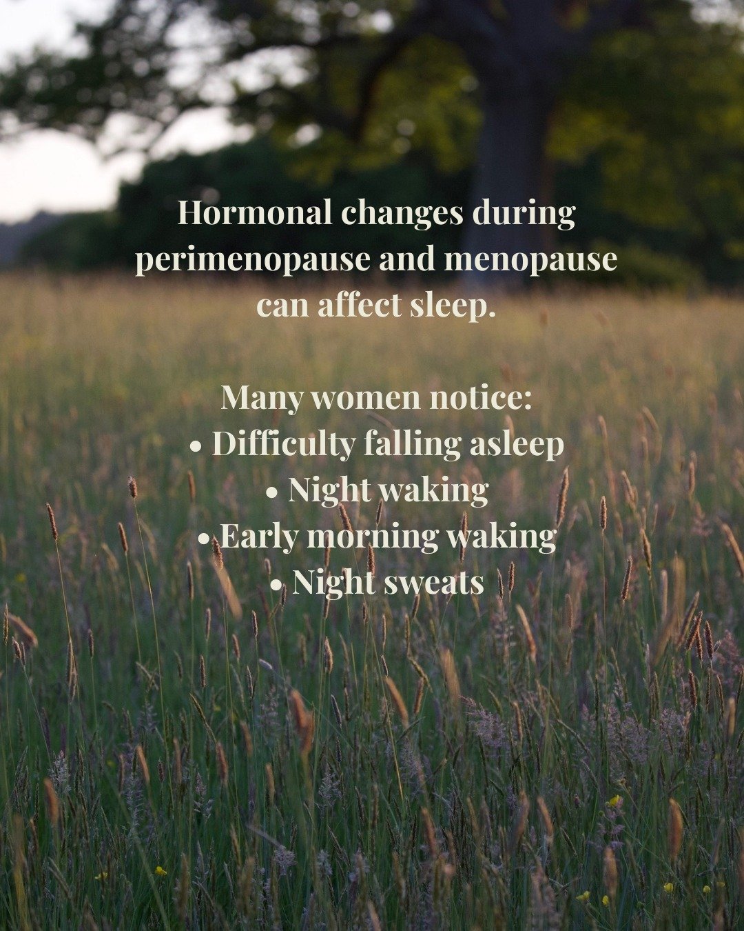 Sleep disturbance is one of the most common symptoms women experience during perimenopause and menopause. 

Many women notice difficulty falling asleep, frequent waking during the night, or waking much earlier than usual. 

Night sweats can also disr