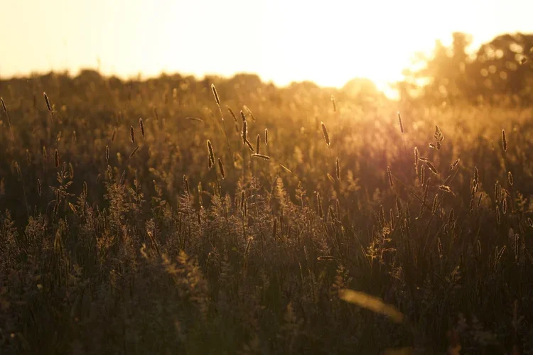 Sleep problems in perimenopause and menopause: why you’re waking at 3am (and what helps)