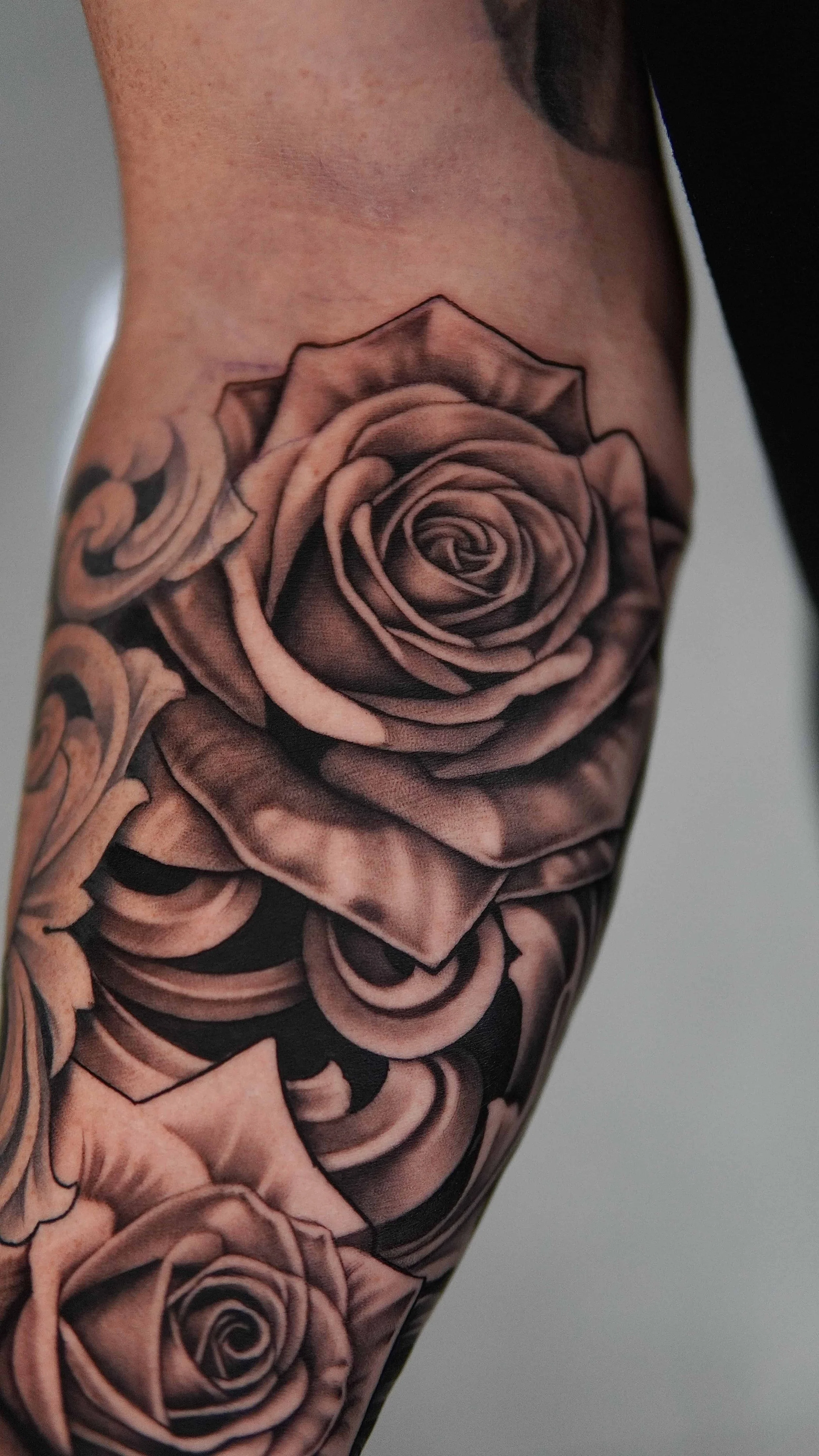 black and grey rose