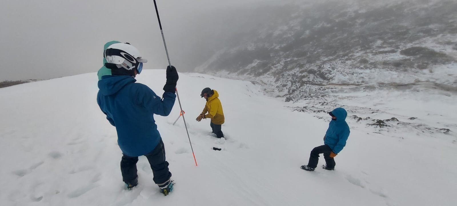 IMG-20240831-WA0029.jpg