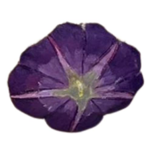 41.png
