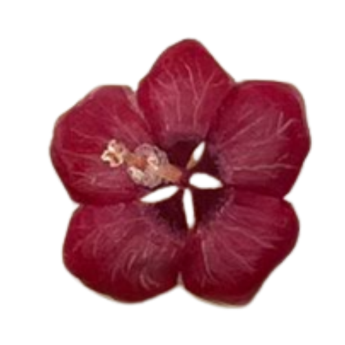 37.png