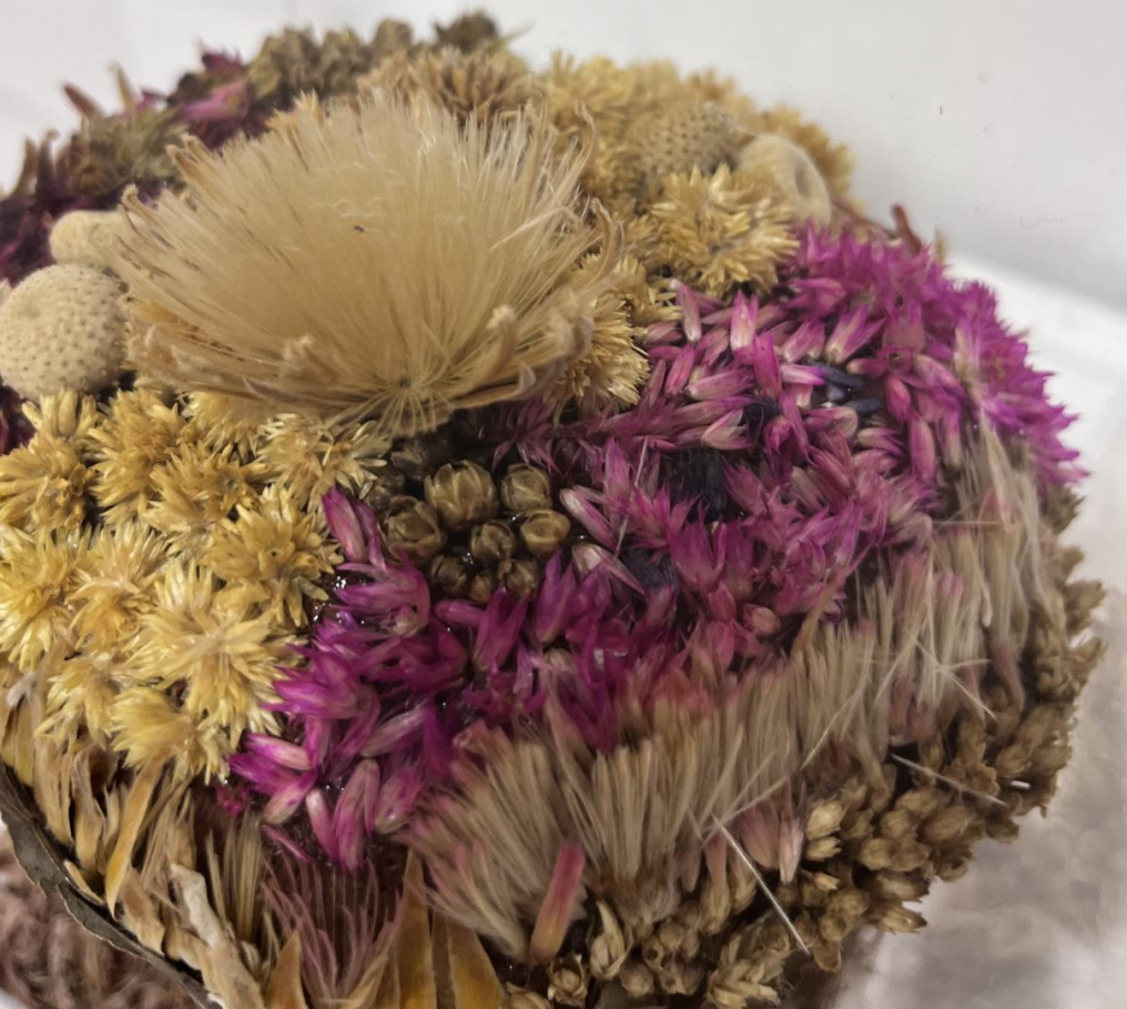 Regência Fúngica Detalhes 2.png