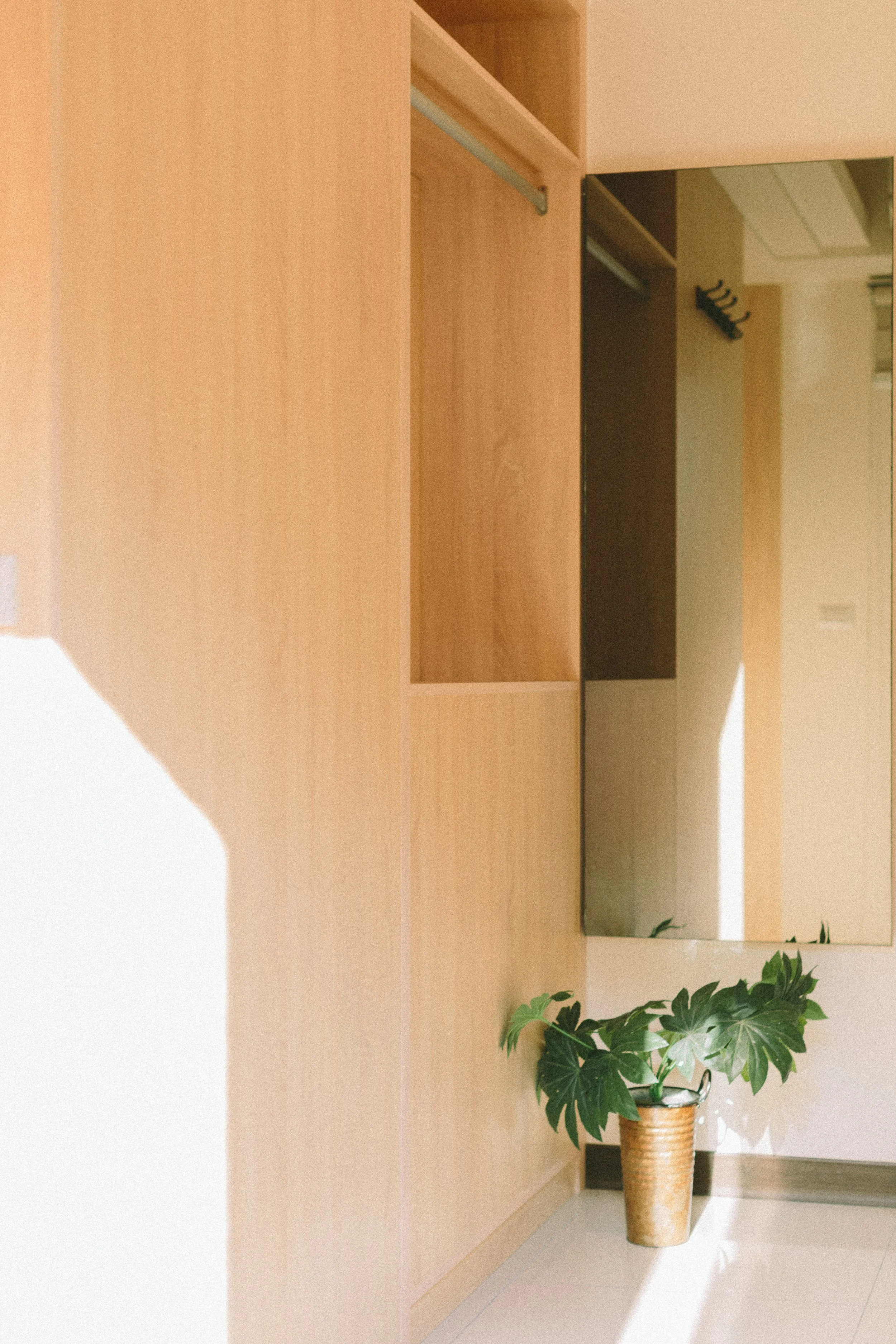 看光在牆面停留、滑動、轉身。