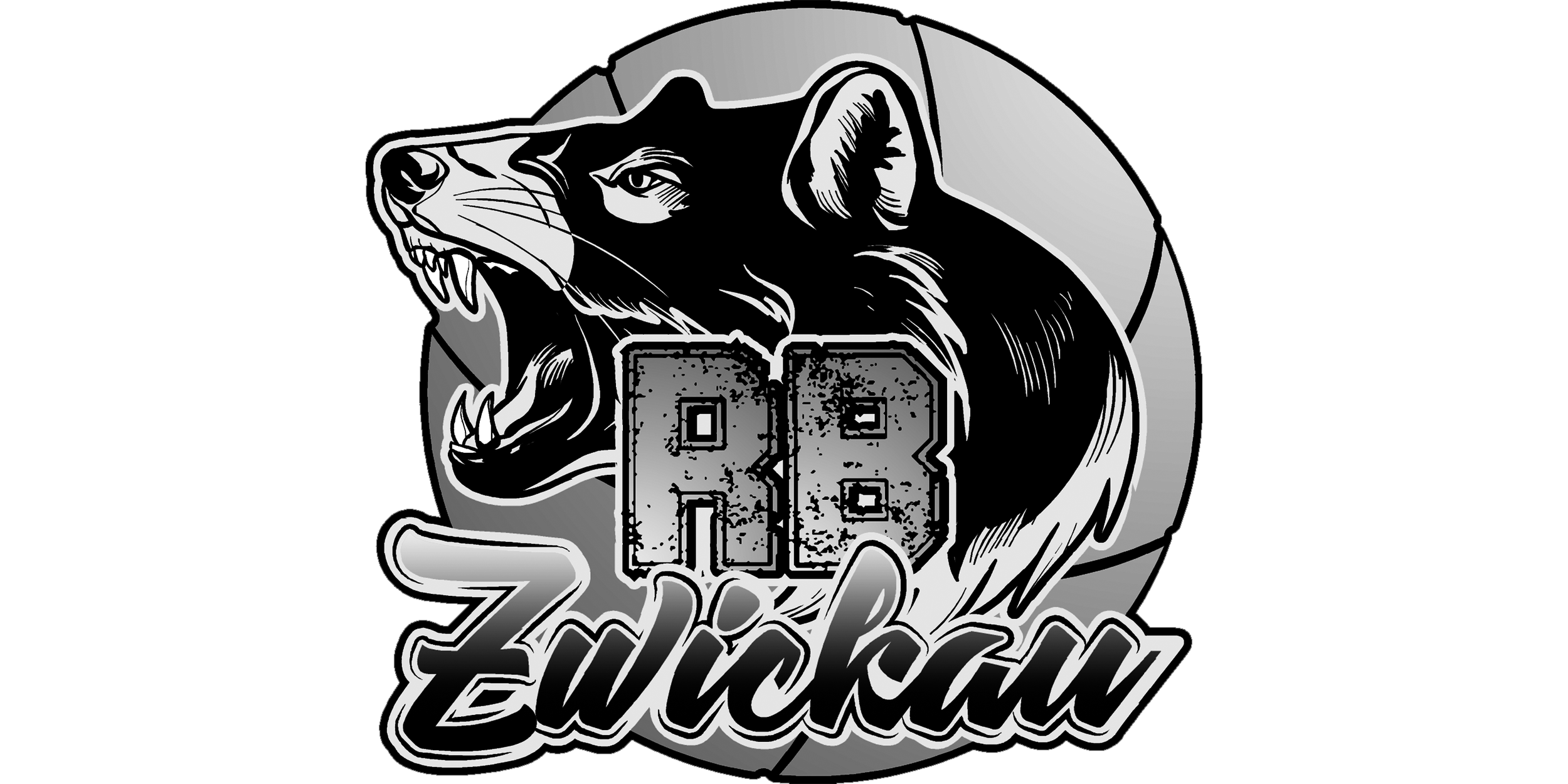 RB Zwickau Hi-Res.png