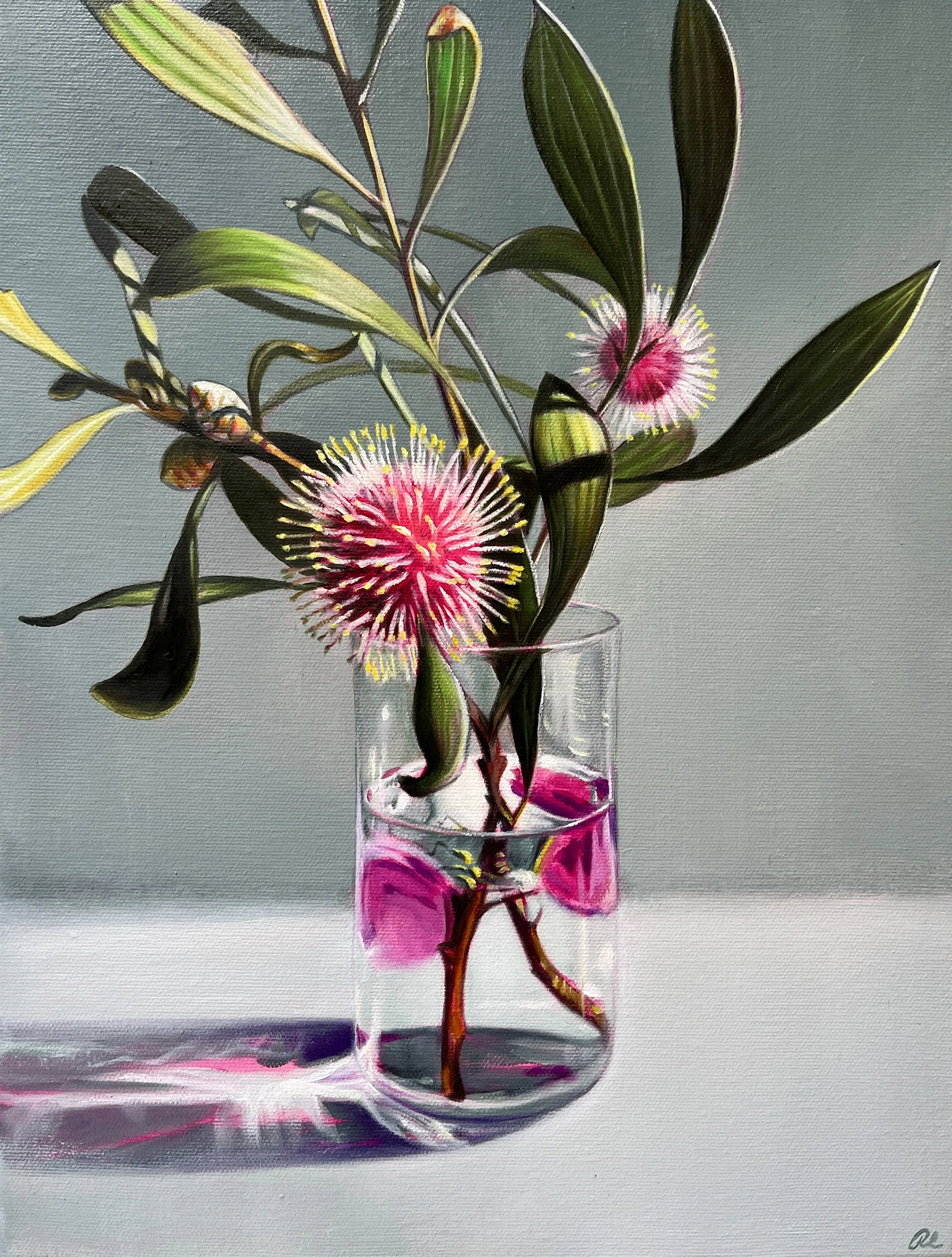 hakea default_2.jpg