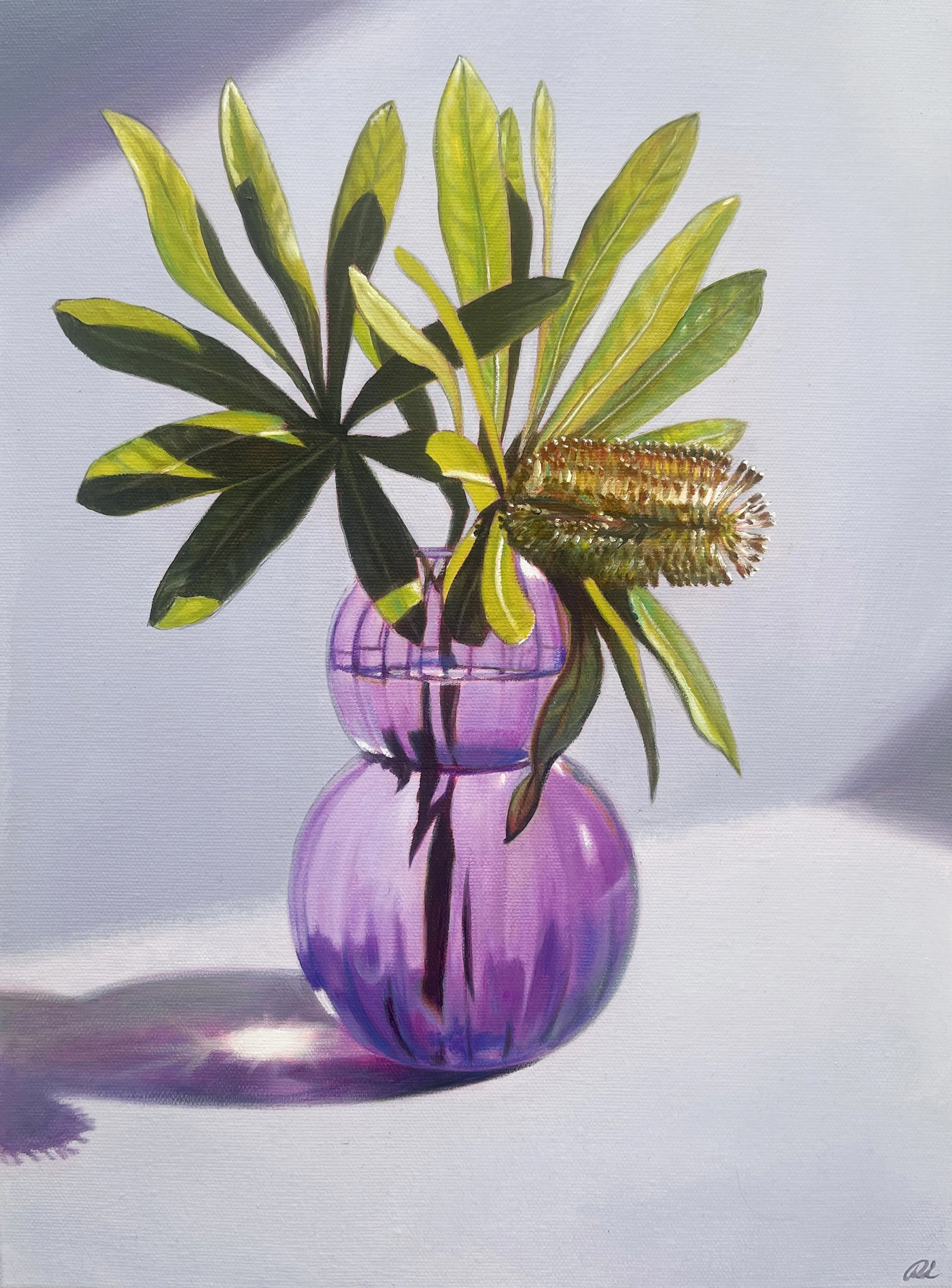 defualt_fill banksia_2.jpg