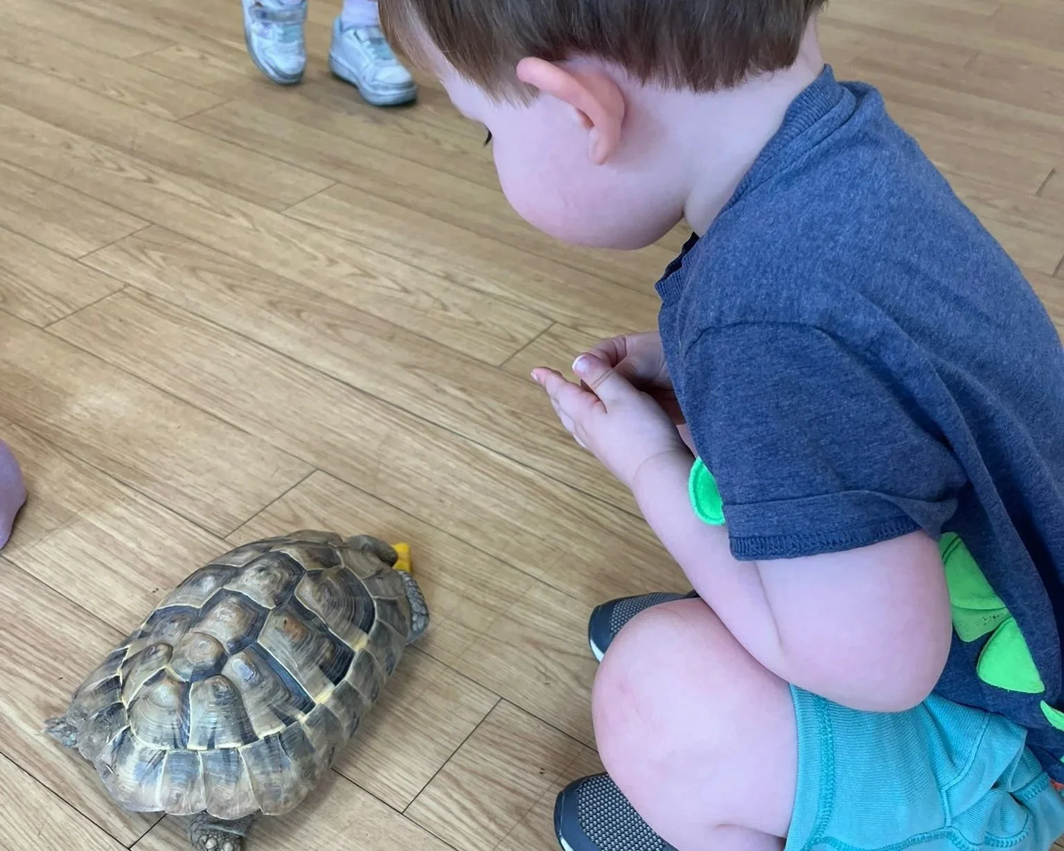 During Reptile Week, we had a very special guest - Tilly Tortoise! Tilly is a lovely affectionate little tort and all the children made her feel very welcome (and full up on berries!) We hope to bring her to more sessions over the coming months.