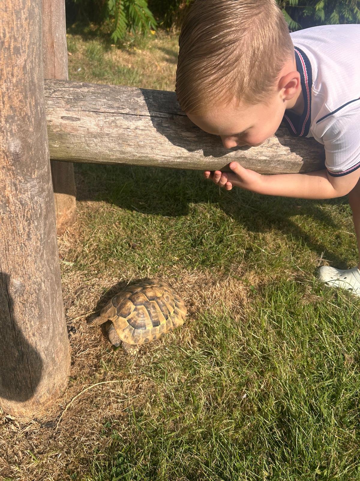 Tilly Tortoise likes to come along to our Little Sprouts session wherever possible  - and she's always the star of the day