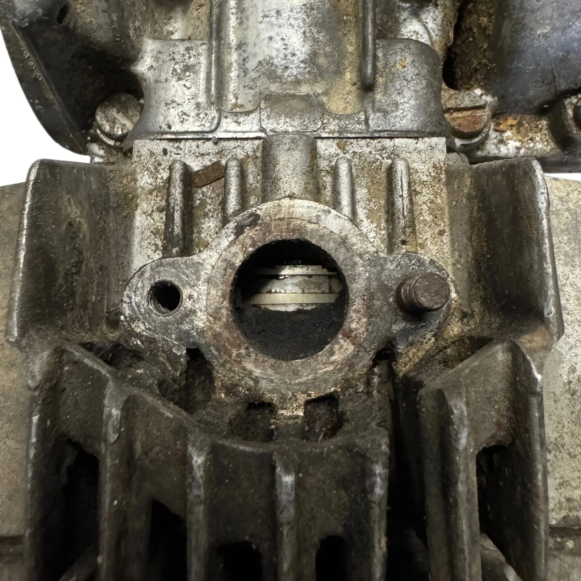 image1.jpg