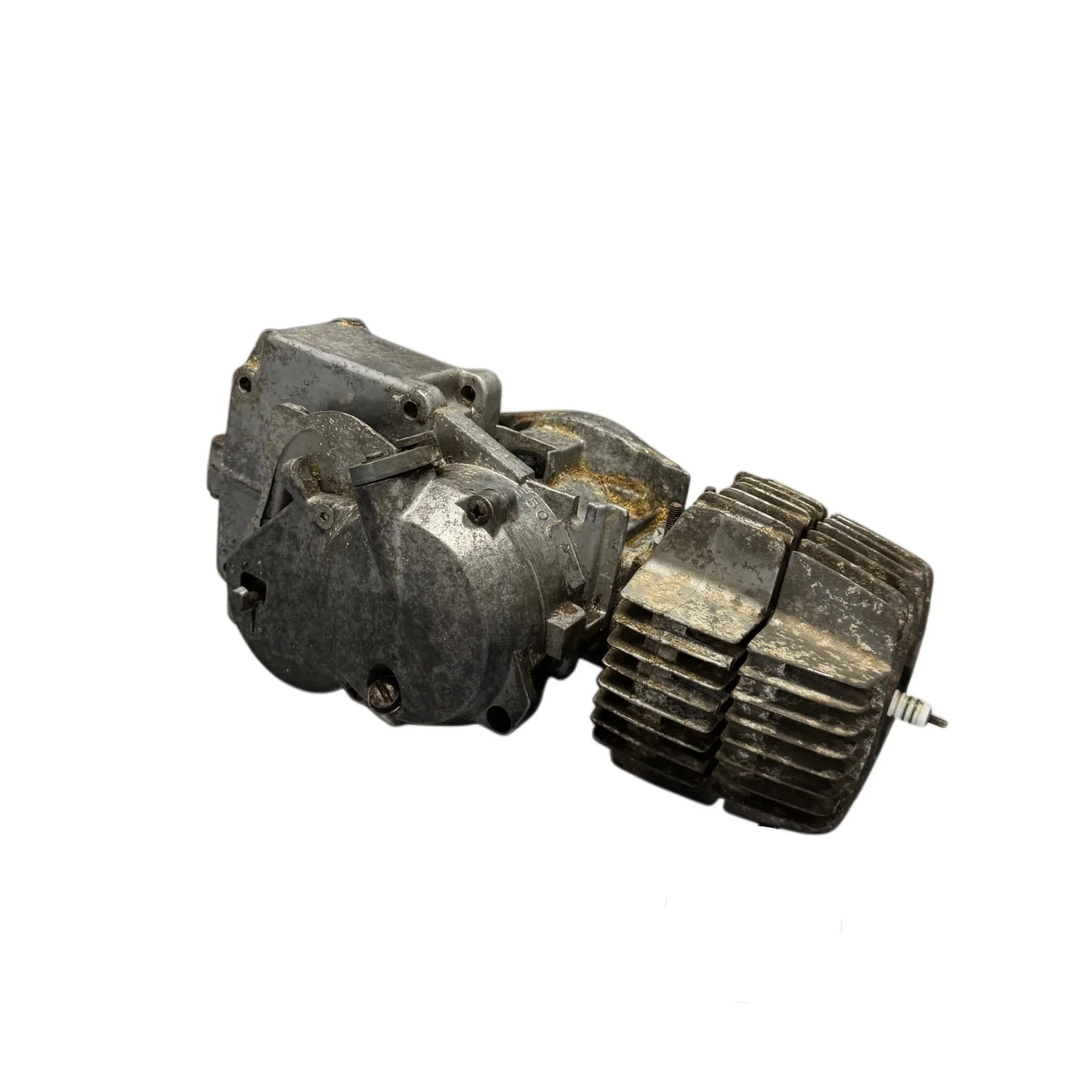 image7.jpg