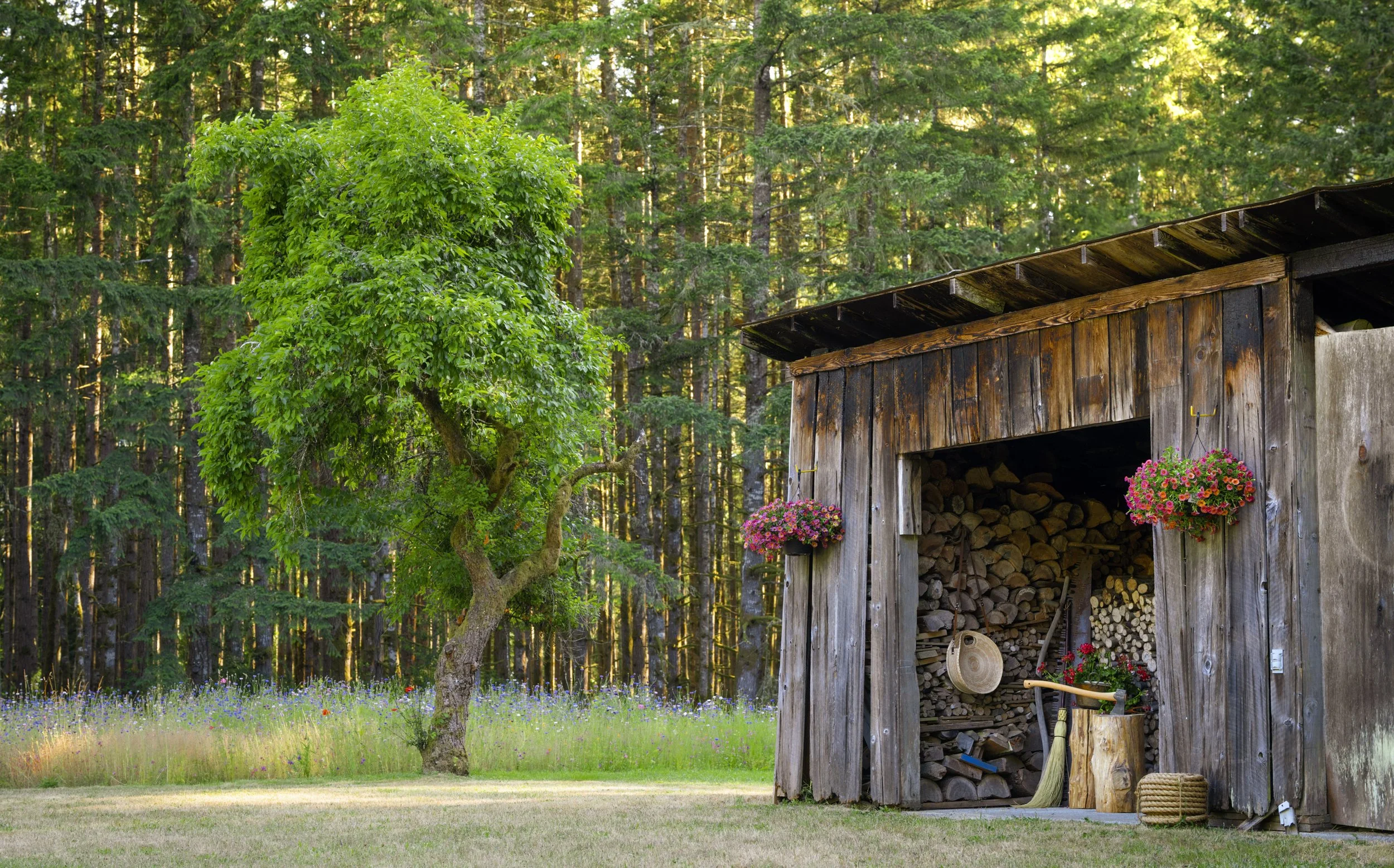 wood shed 14.jpg