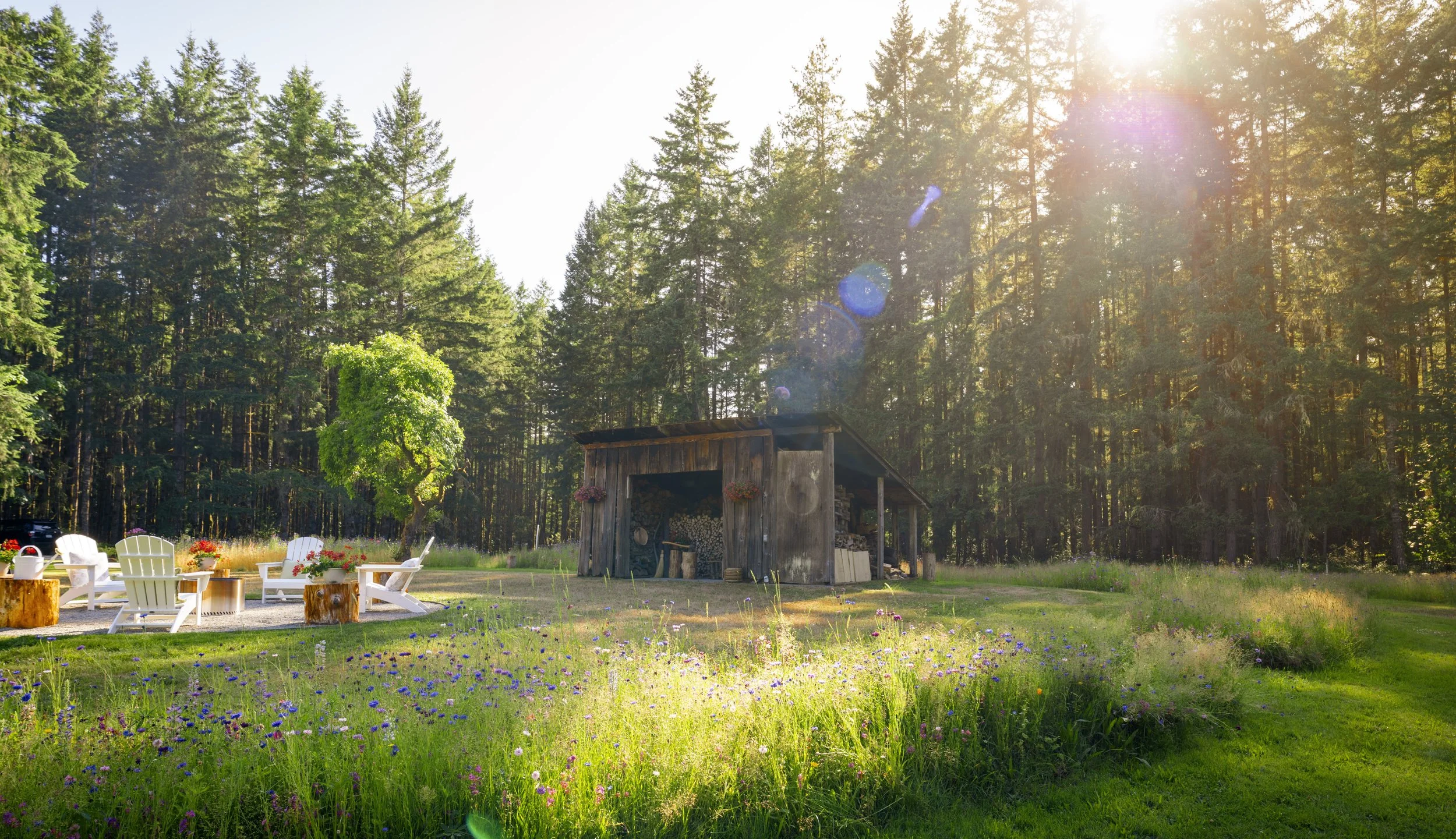 Wood Shed.jpg