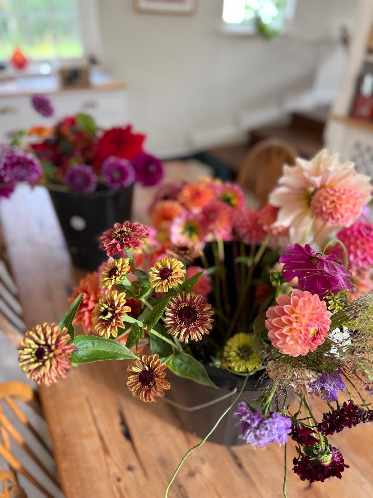 home filled with cut flowers each month