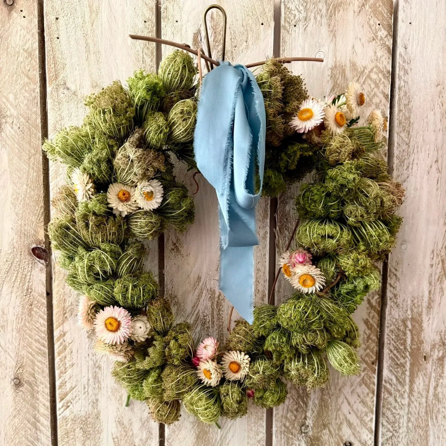 The Star of Late Summer: My Daucus and Strawflower Wreath