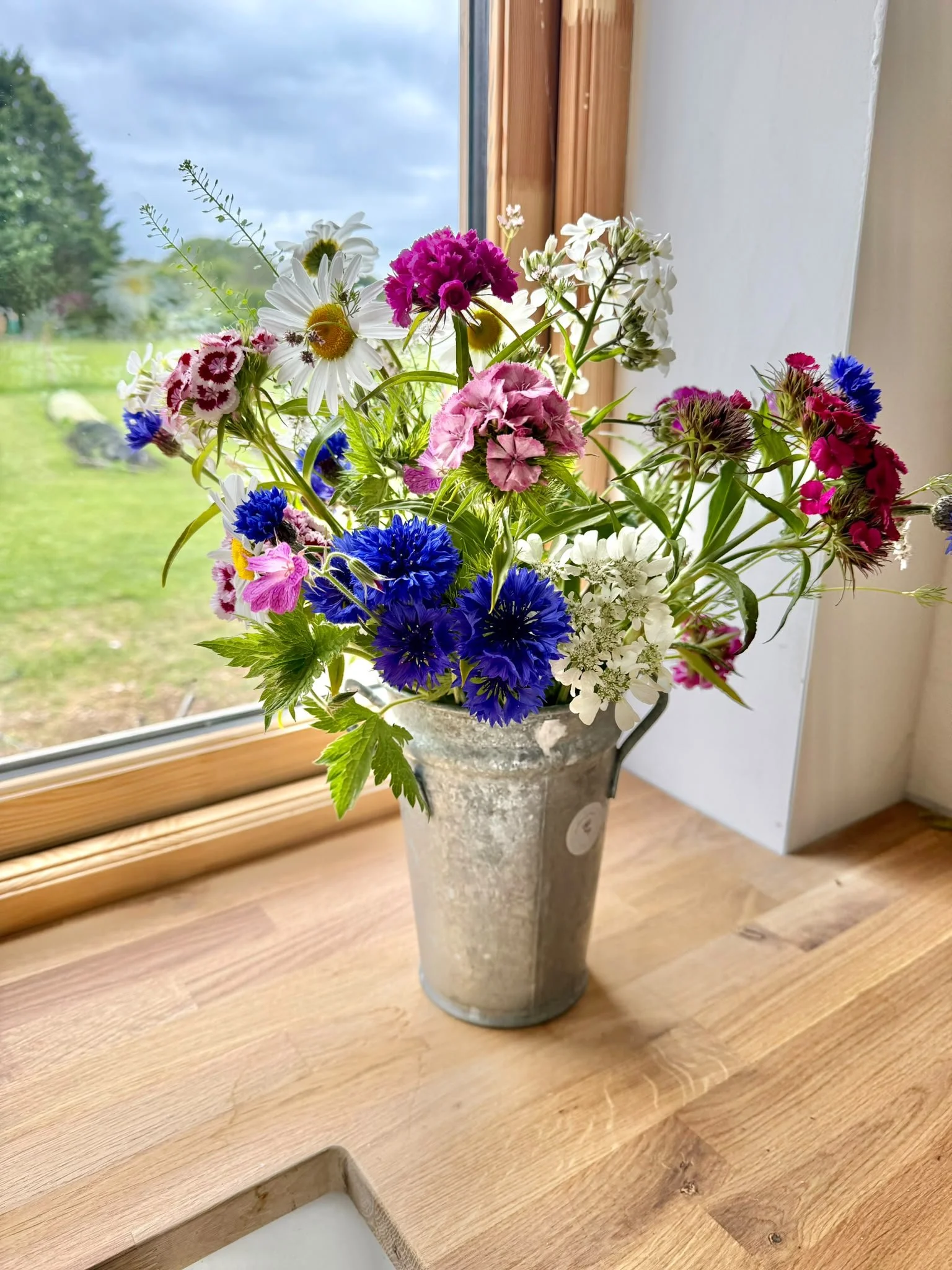 Early Spring flowers