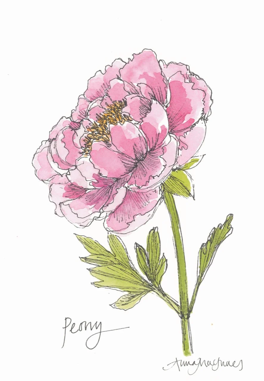 AnnaMacInnes-painter-floral-art-workshop-paint
