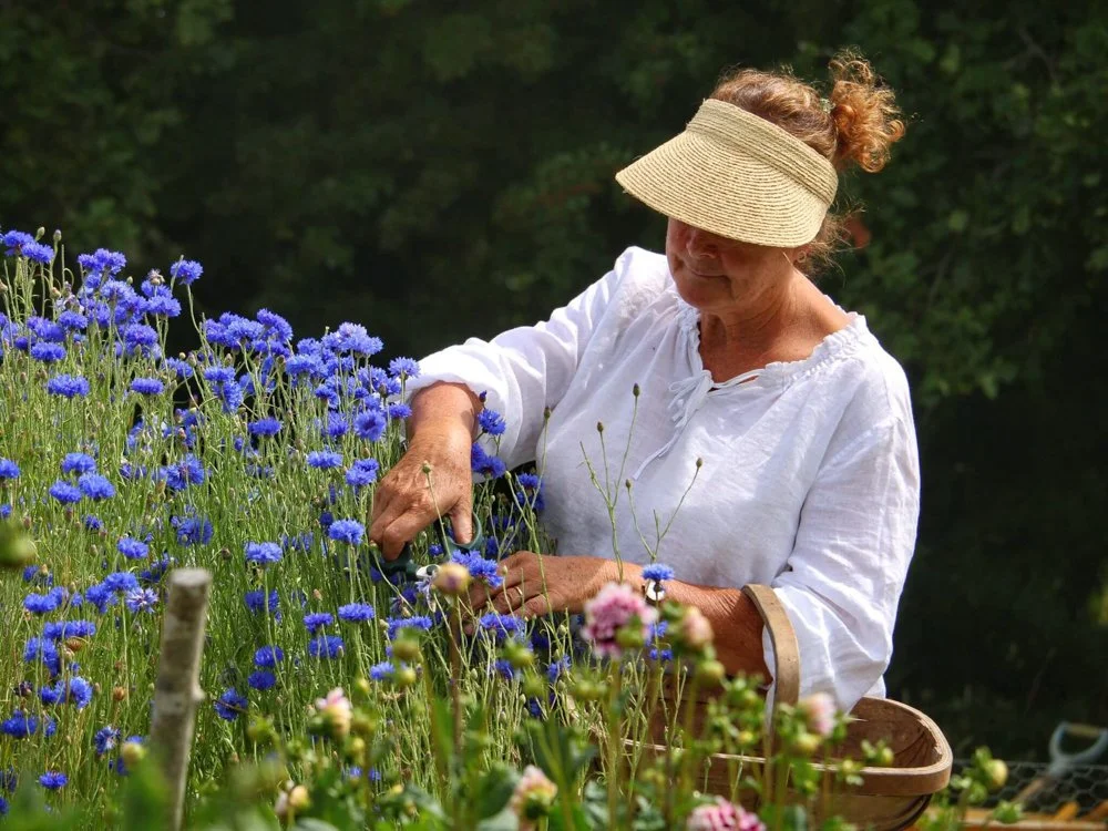 clamerkin-wild-flower-farm-