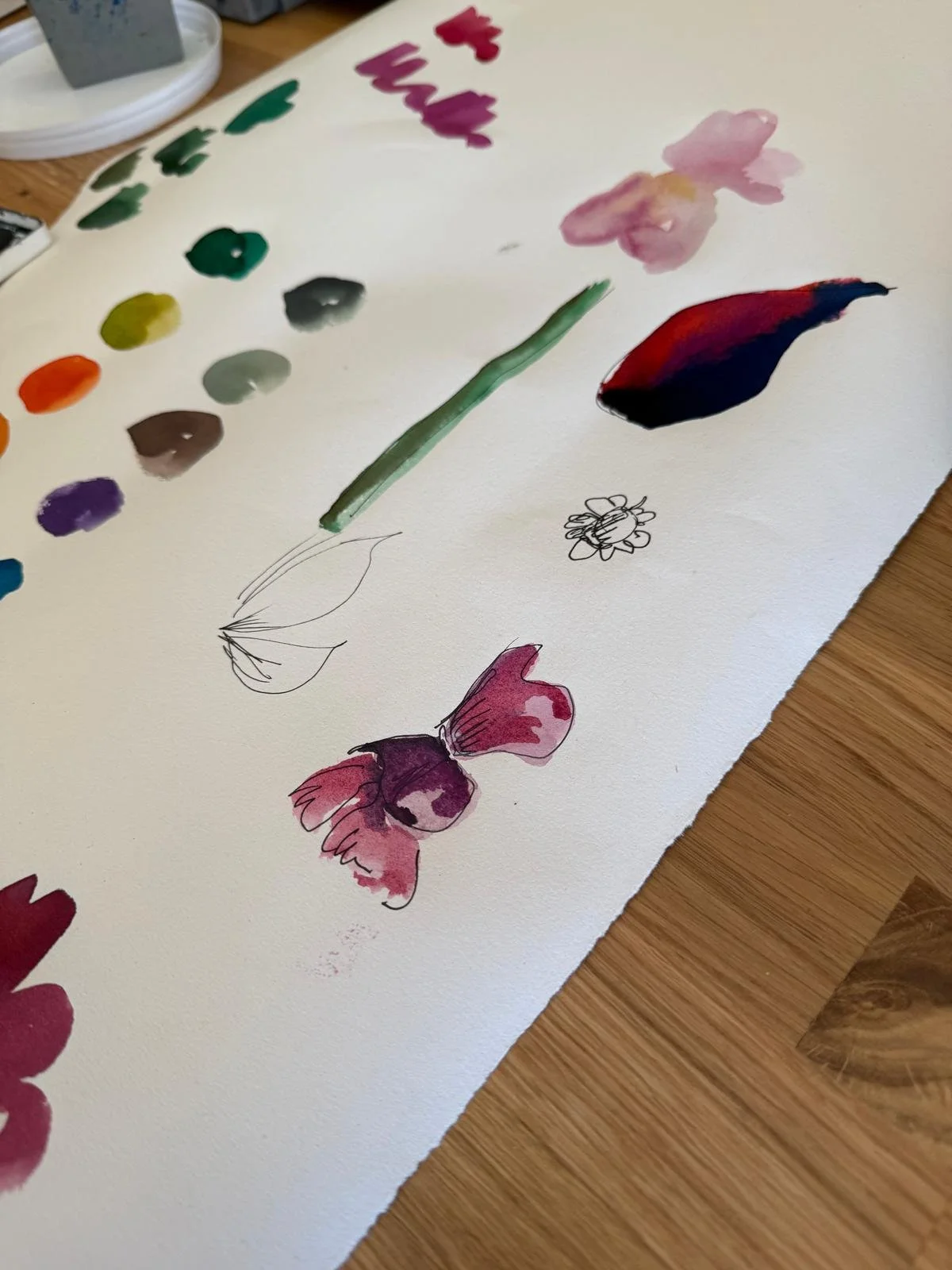 Botanical flower painting made during the Pick and Paint workshop with Anna MacInnes at Clamerkin Wild