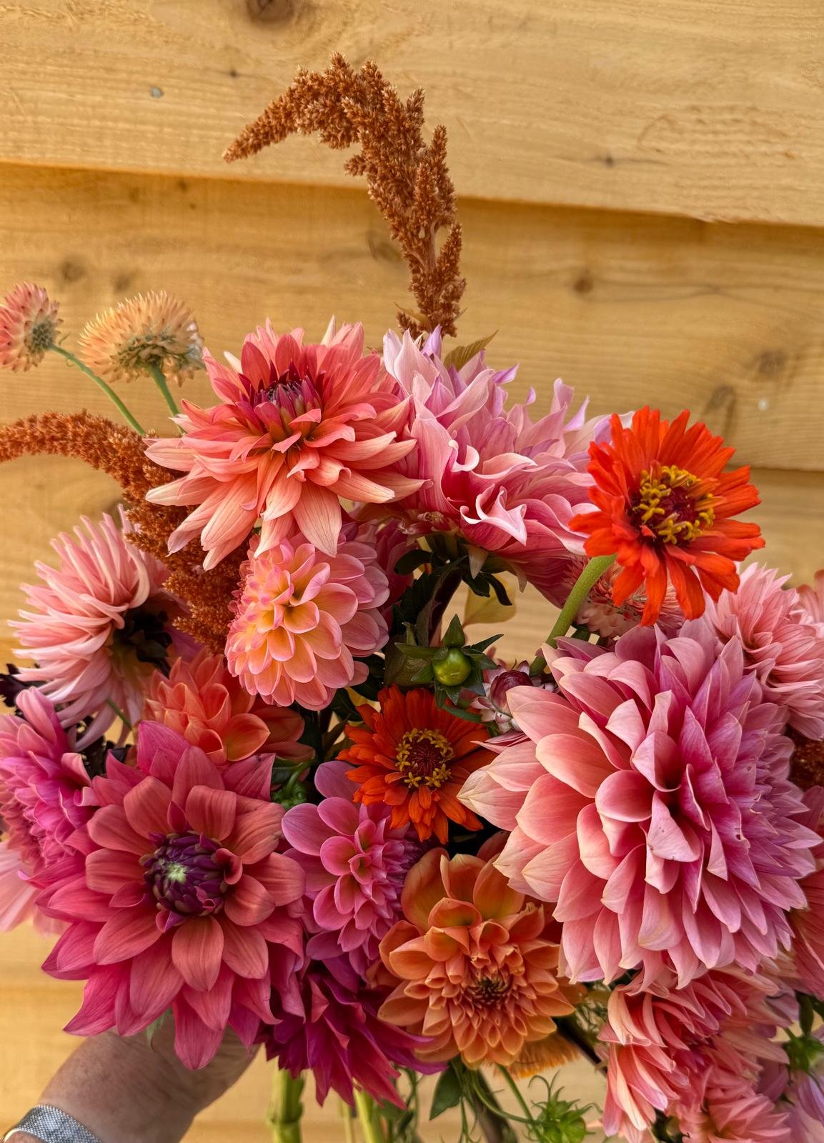 learn to make a boquet with dahlias