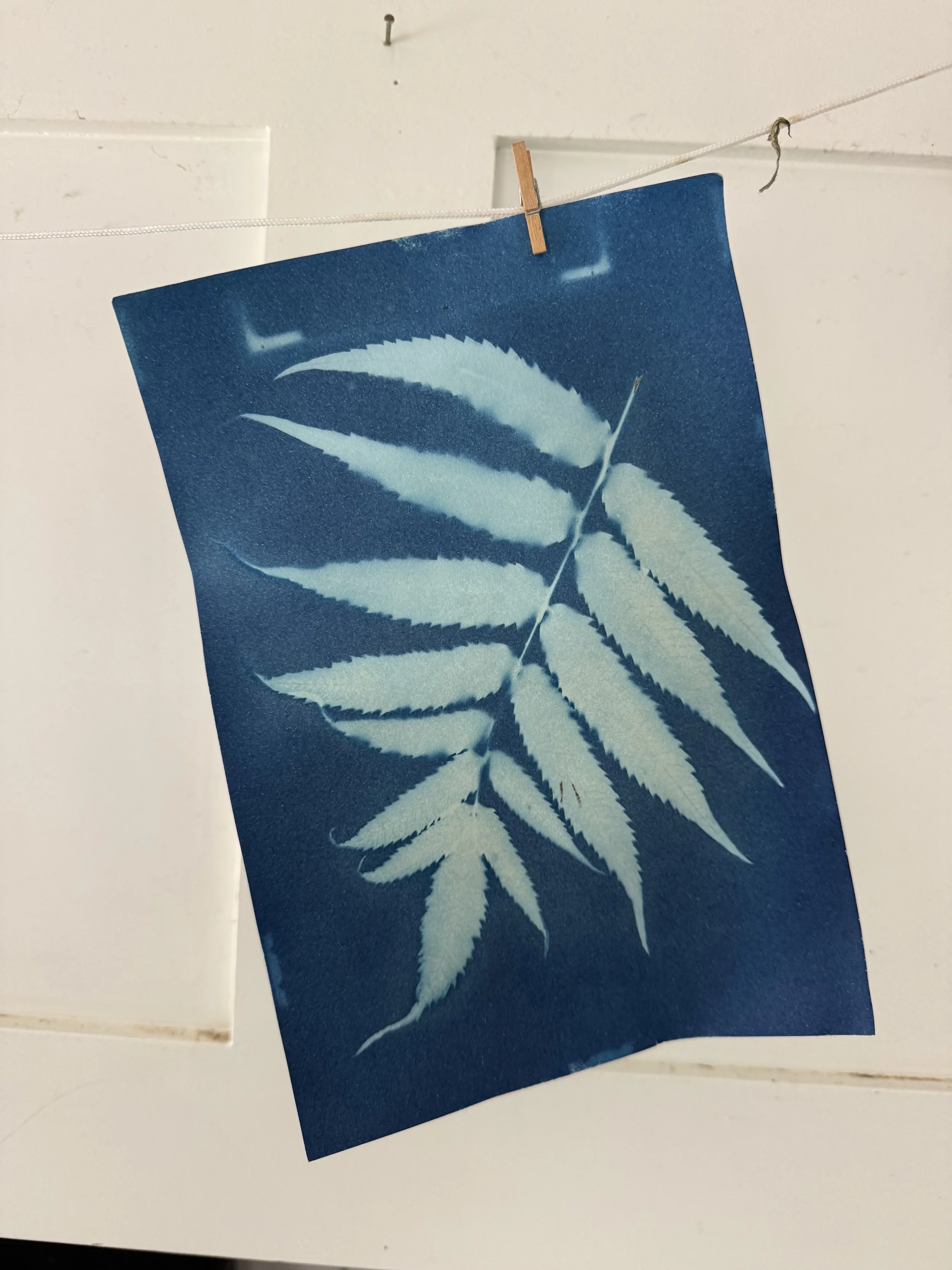 cyanotype-workshop-clamerkin