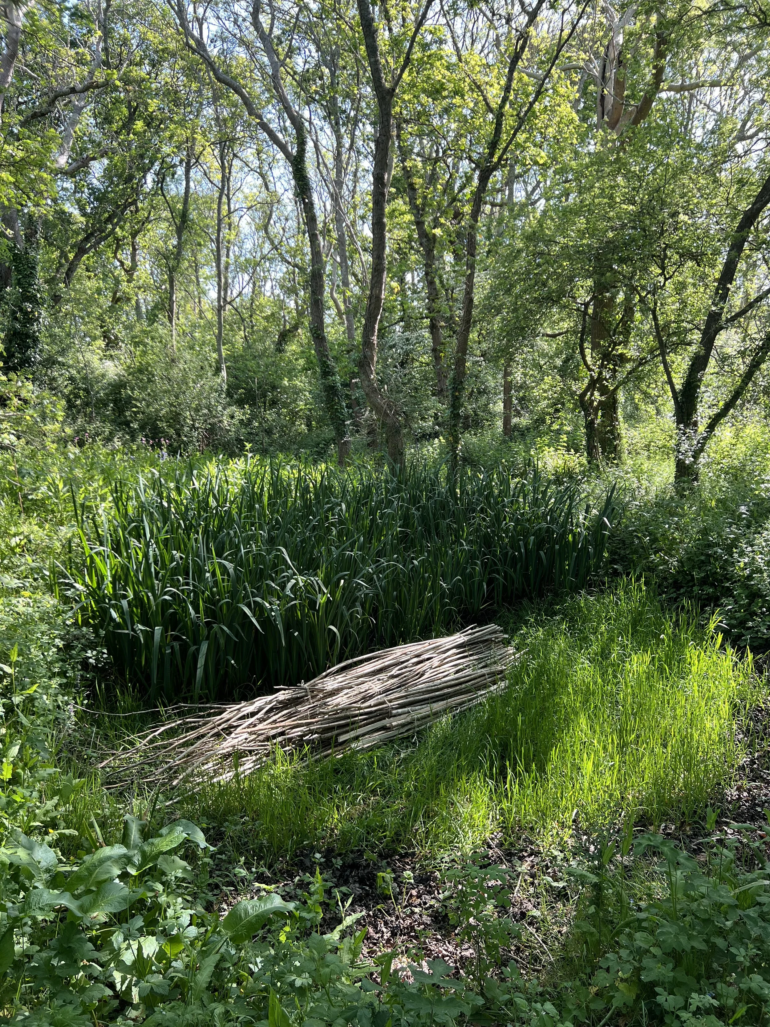 Clamerkin-wild-workshop