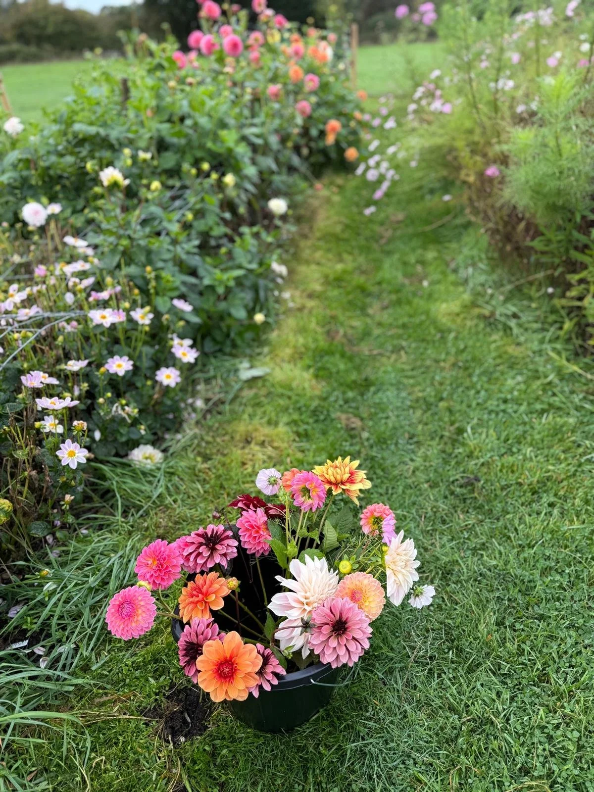 Fresh Flower Subscription – 30 Stems Flowers & Foliage