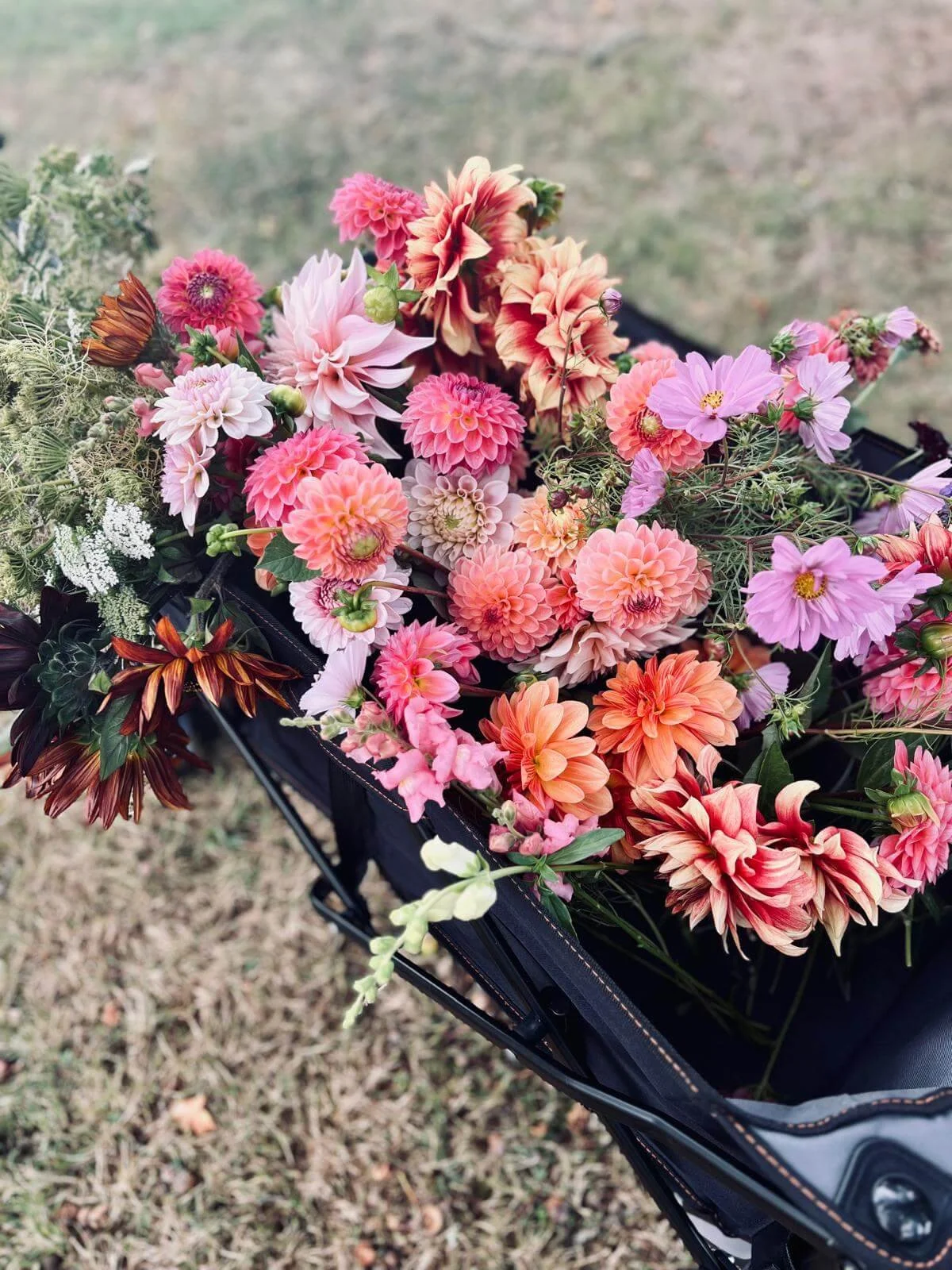 A wheel barrow of orders freshly picked flowers from the Isle of Wight