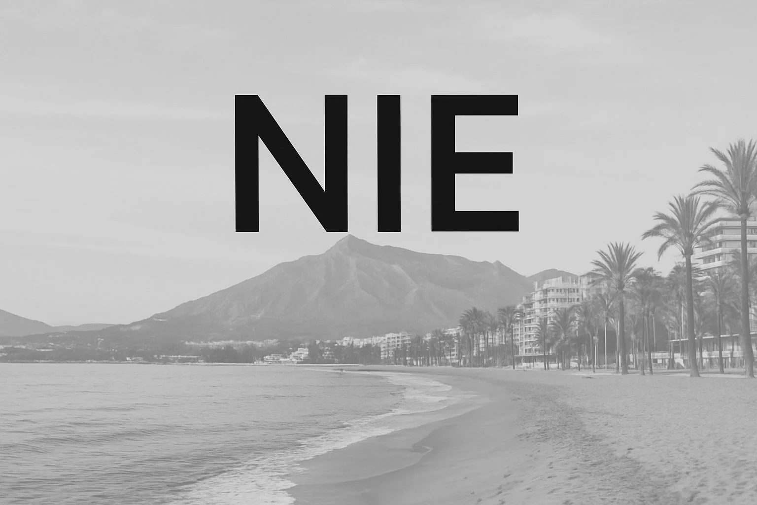 Get Your NIE Number Fast in Marbella – Everything You Should Know