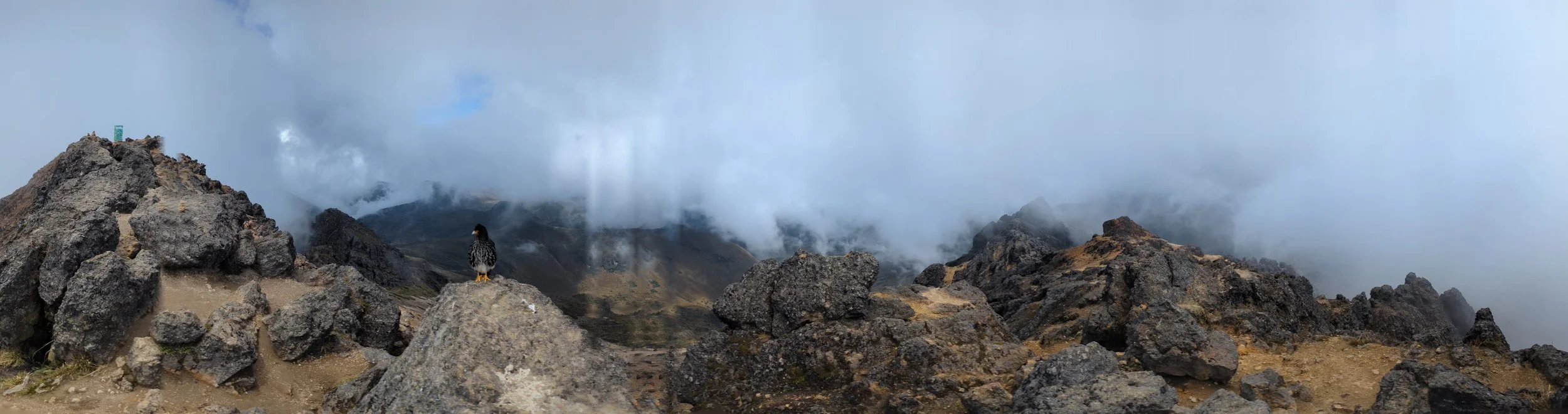 PXL_20251121_175833857.PANO.jpg