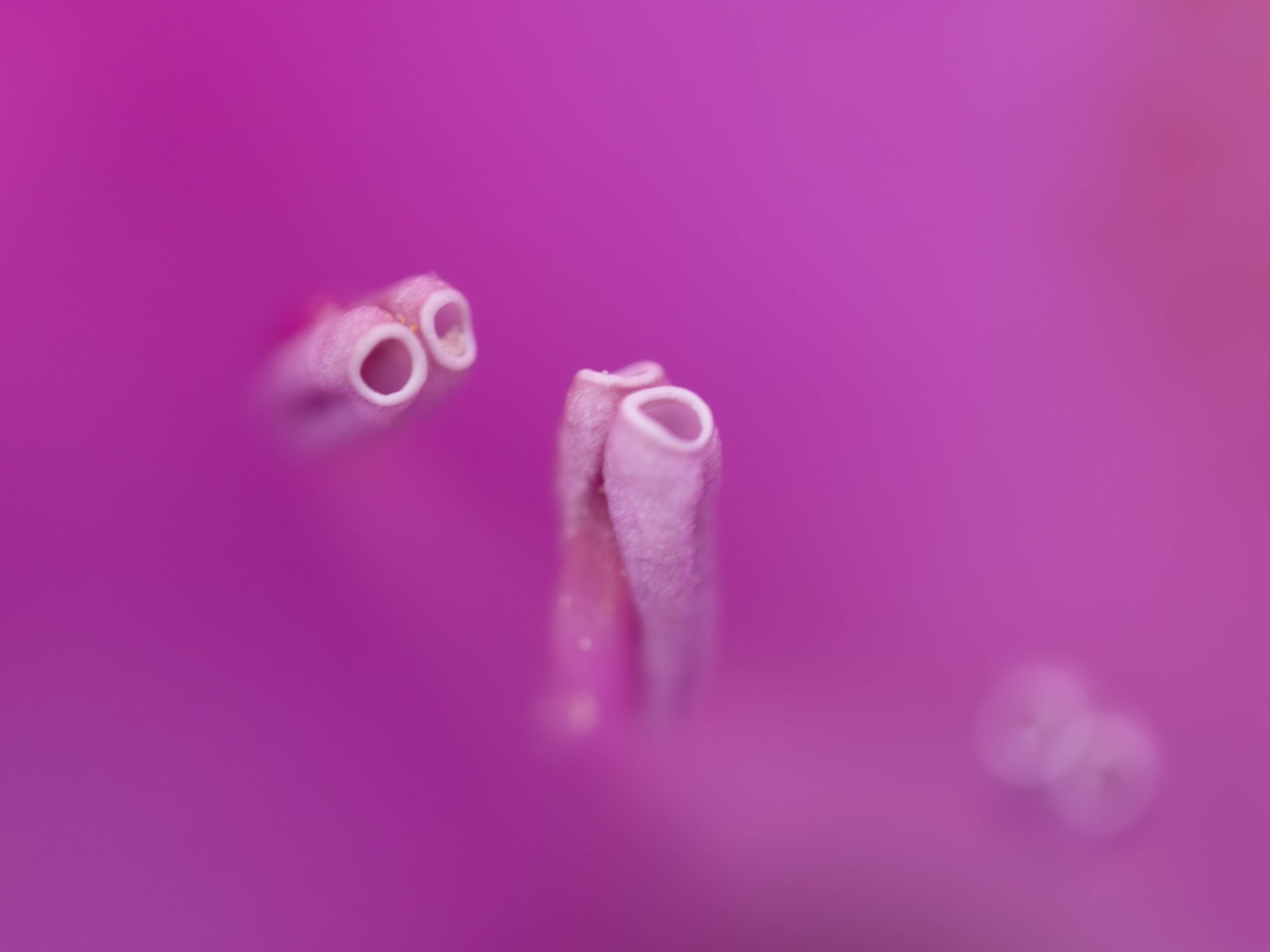 P5221826-Enhanced-NR.jpg