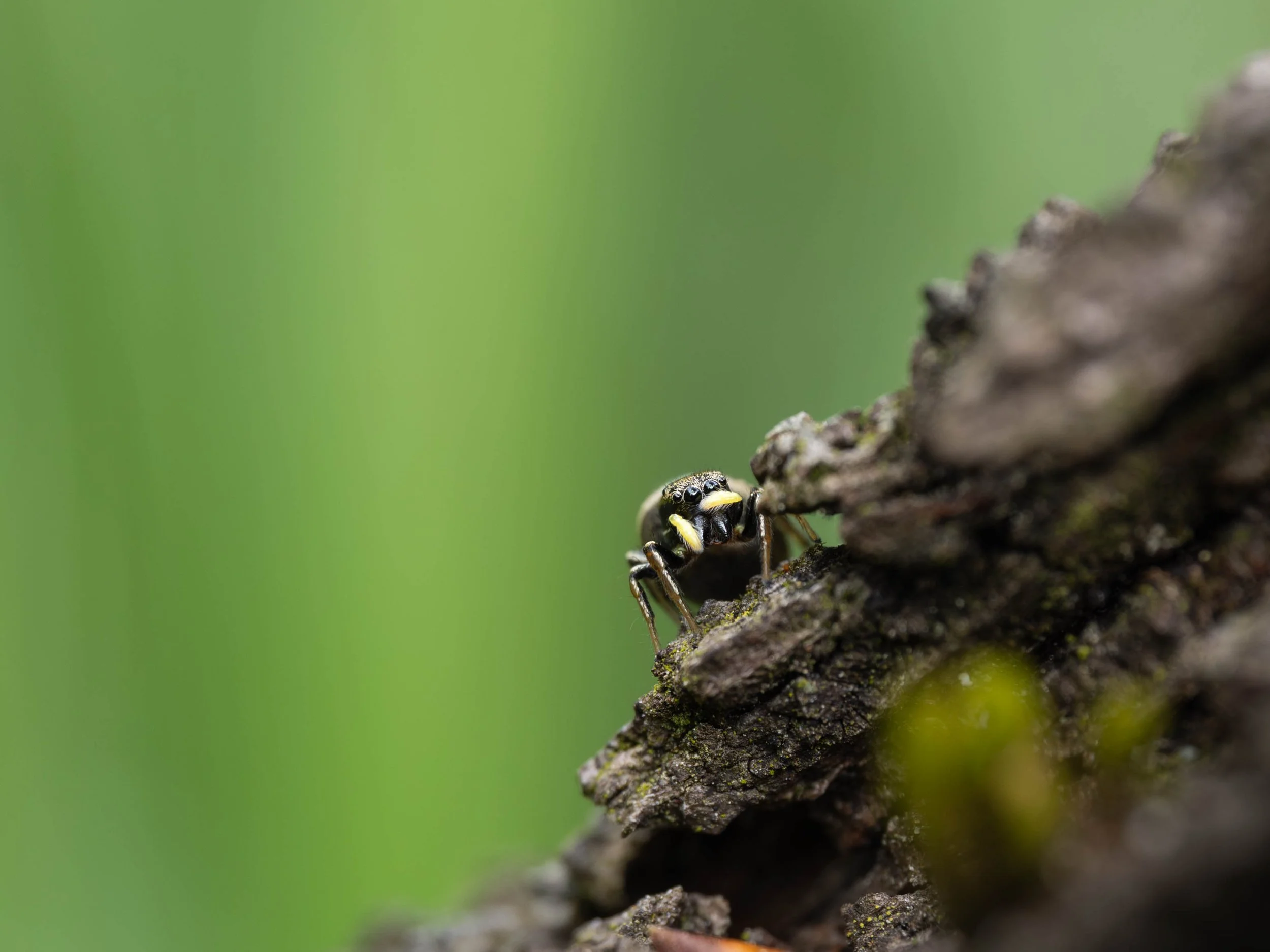 P5310464-Enhanced-NR-2.jpg