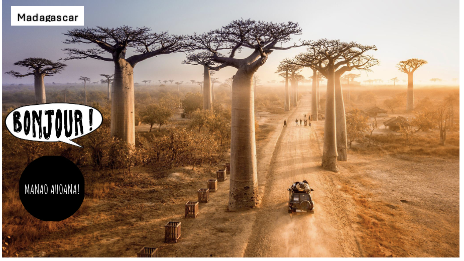 Screenshot 2026-03-06 at 12.06.25.png