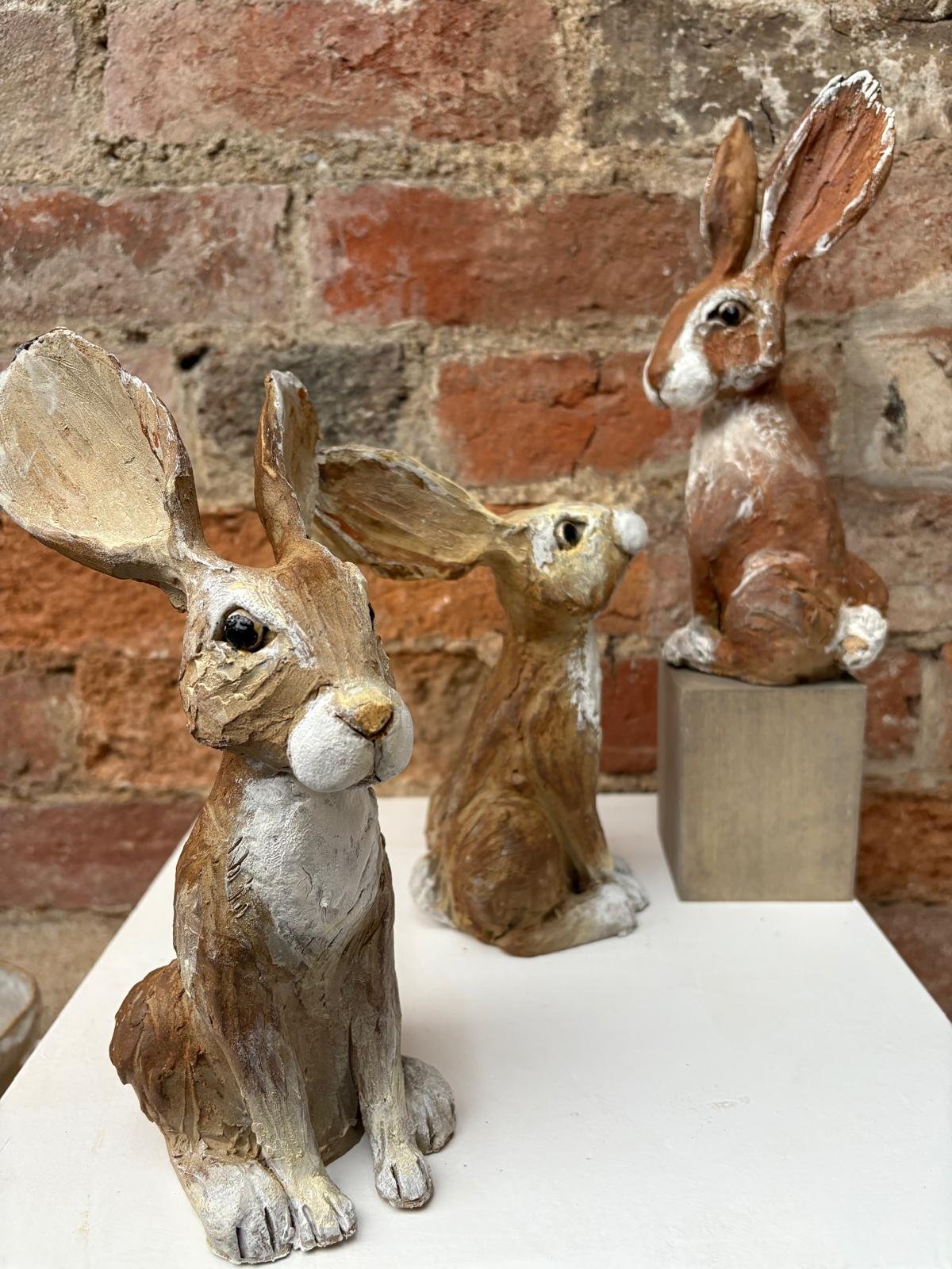 WhatsApp Image 2026-01-27 at 15.26.40.jpeg