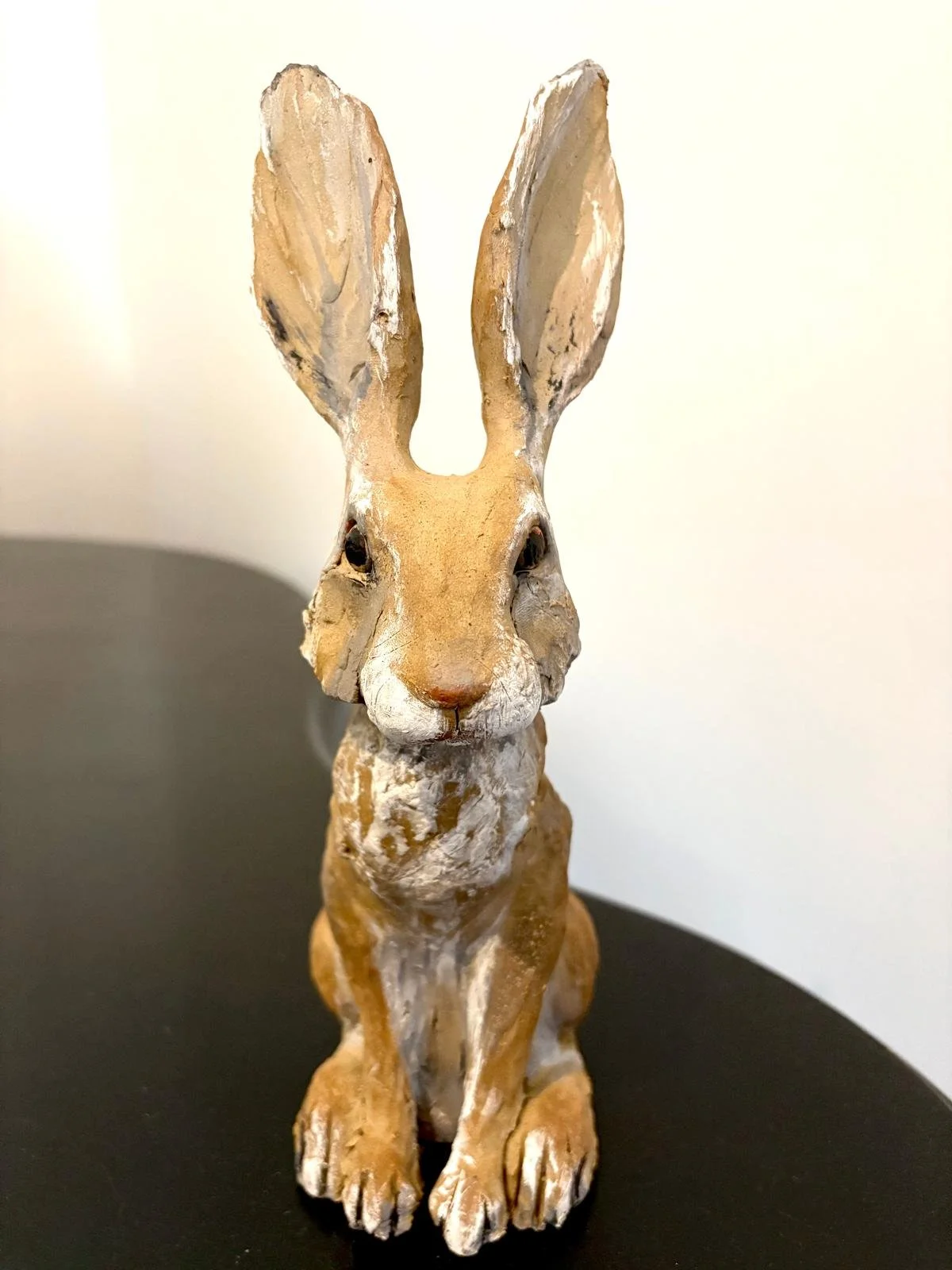 WhatsApp Image 2026-03-31 at 17.34.22.jpeg