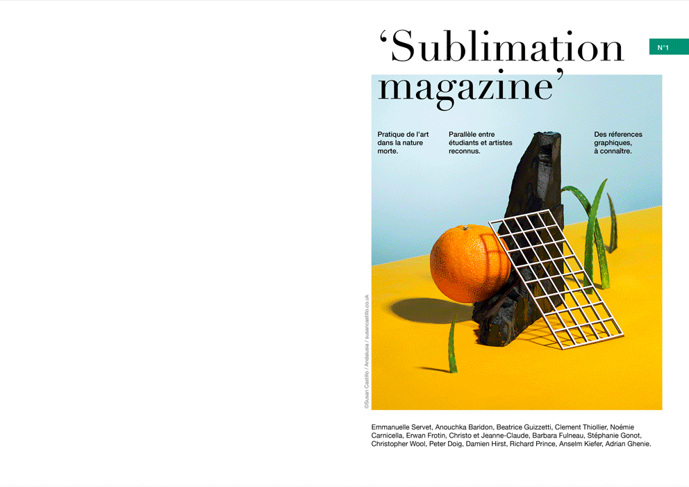 MAG.gif