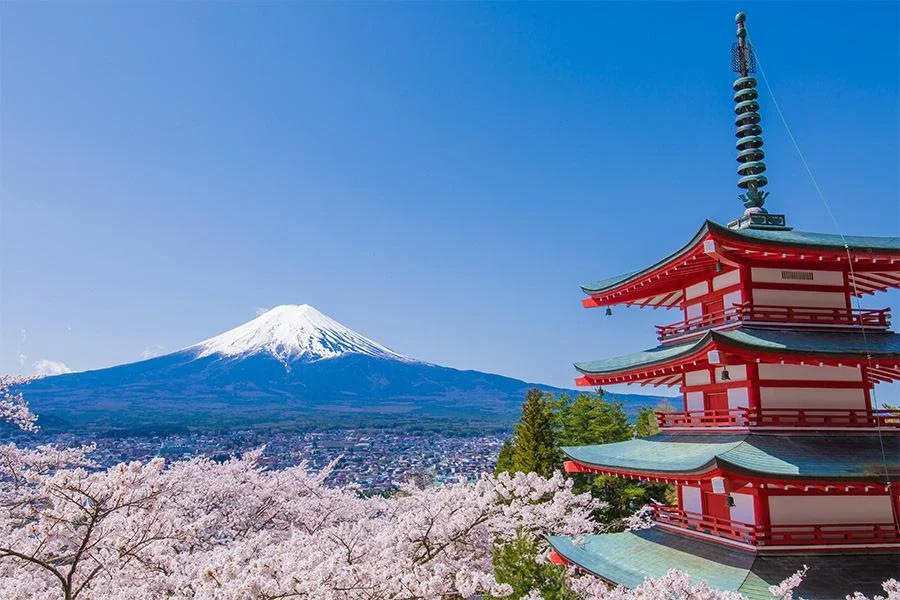 Chureito Pagoda with cherry blossoms and Mount Fuji in spring