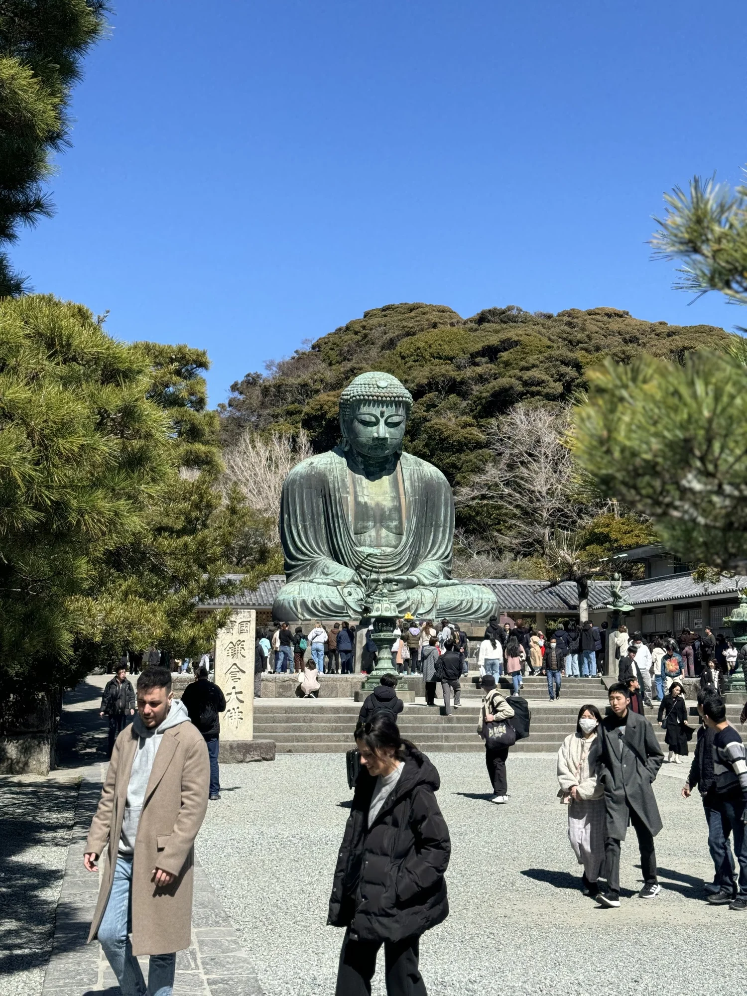 The Great Buddha of Kamakura surrounded by trees