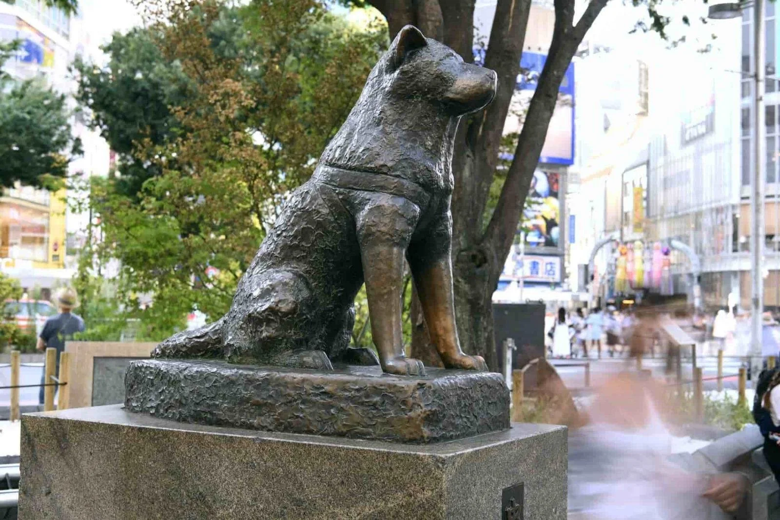 Hachiko statue at Shibuya Station meeting spot