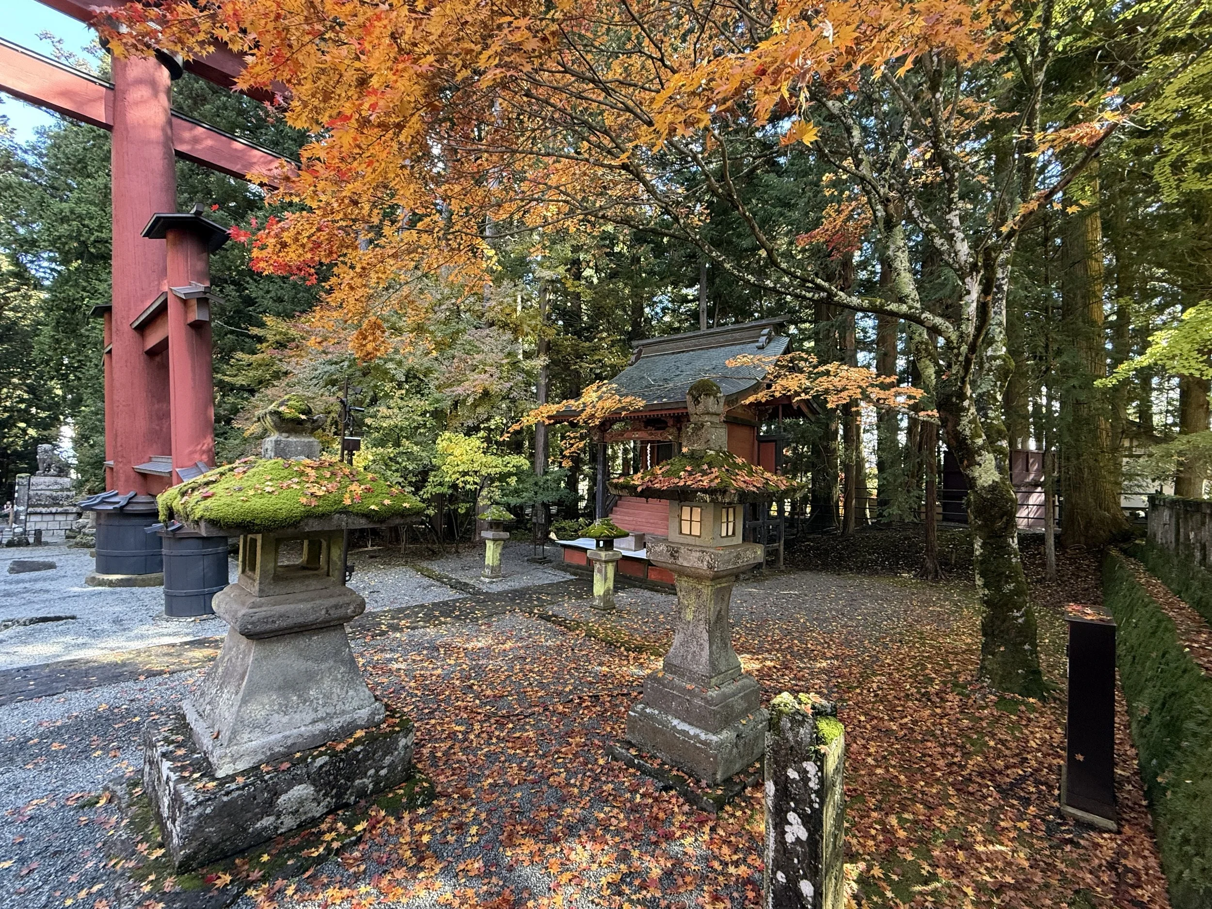 A traditional Japanese shrine surrounded by autumn foliage, with stone lanterns and a red torii gate.