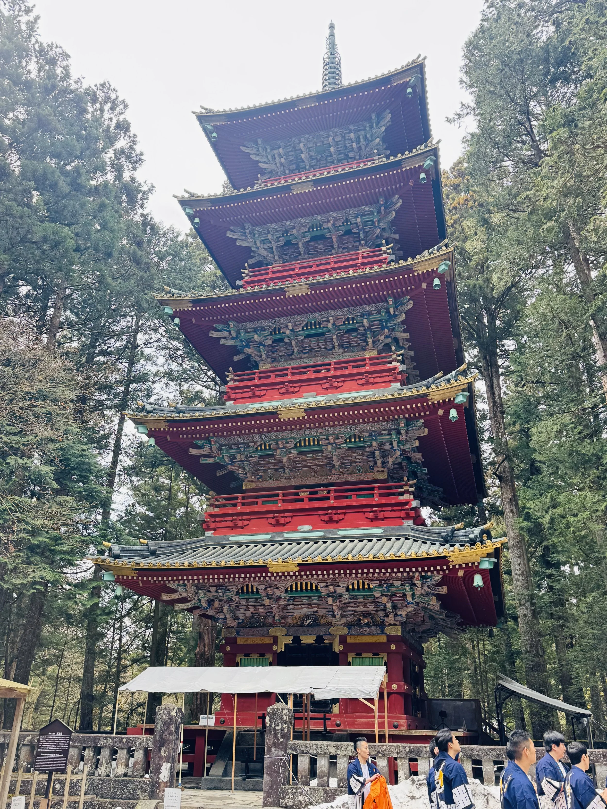 Five-story pagoda at Nikkō Tōshōgū Shrine among cedar trees